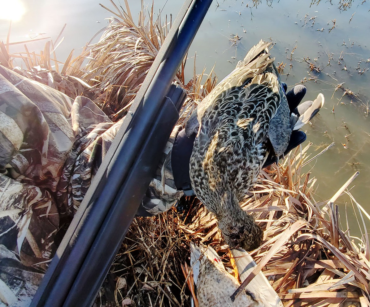 A hunter holds her first ducks