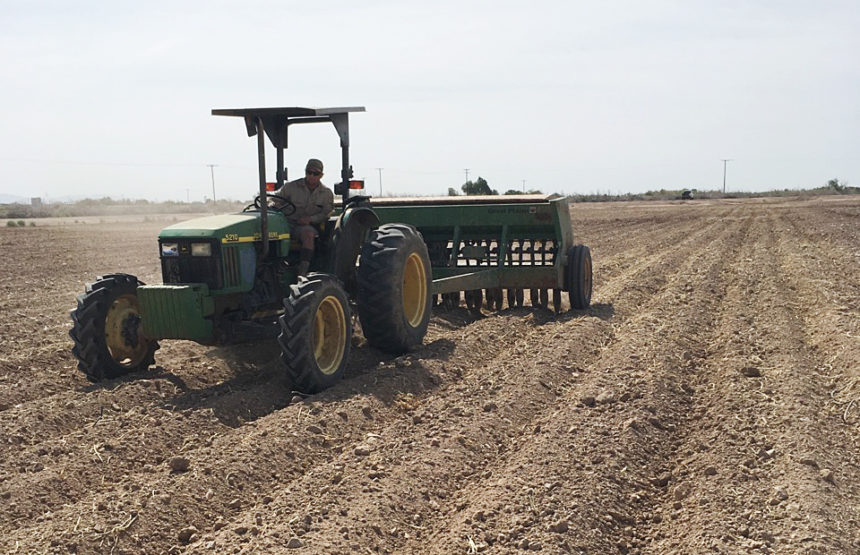 Planting wheat at Imperial WA, Wister Unit