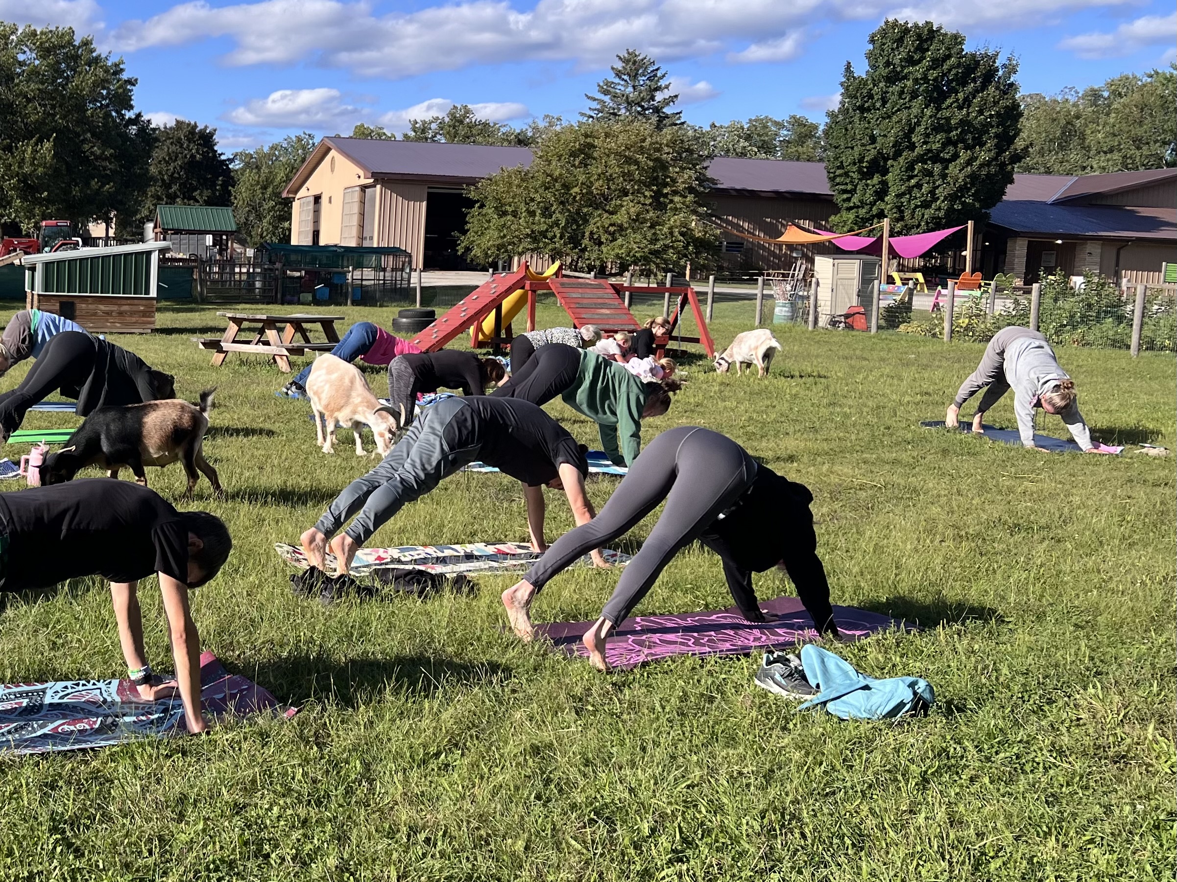 Image description here.