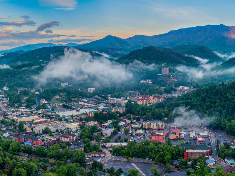 Image description here.