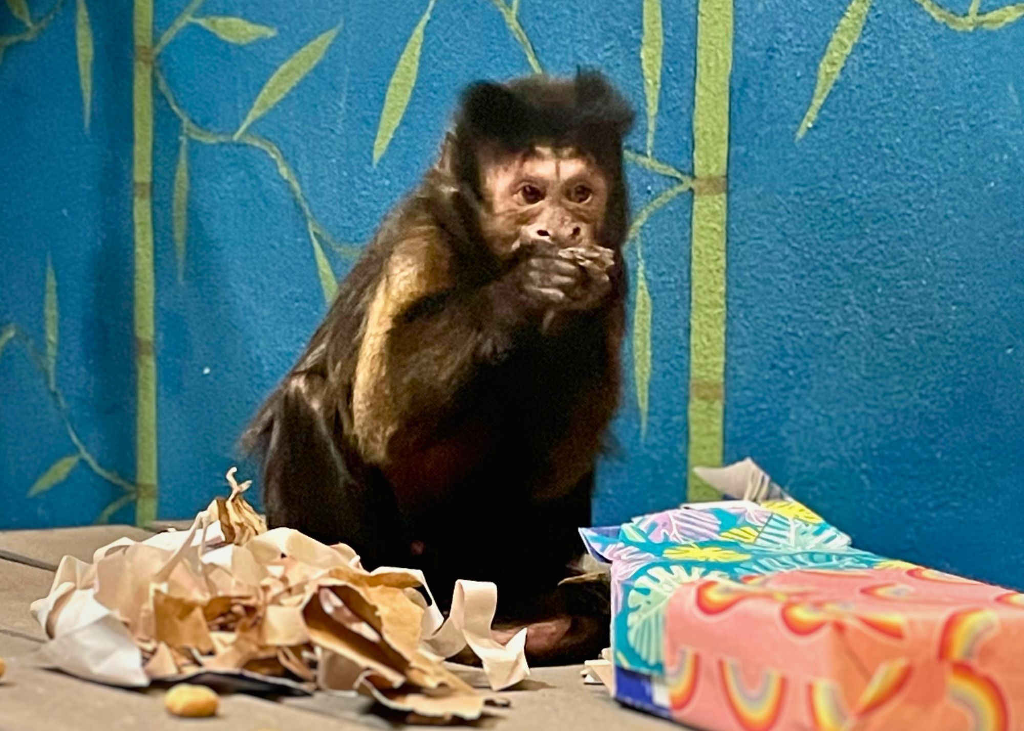 Charlie snacks