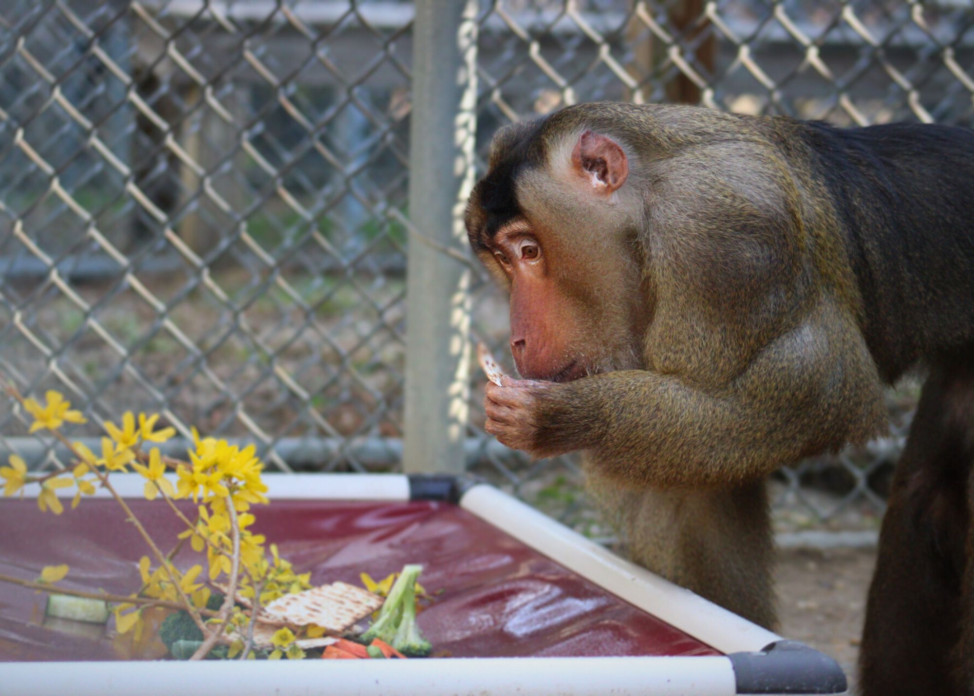 eating