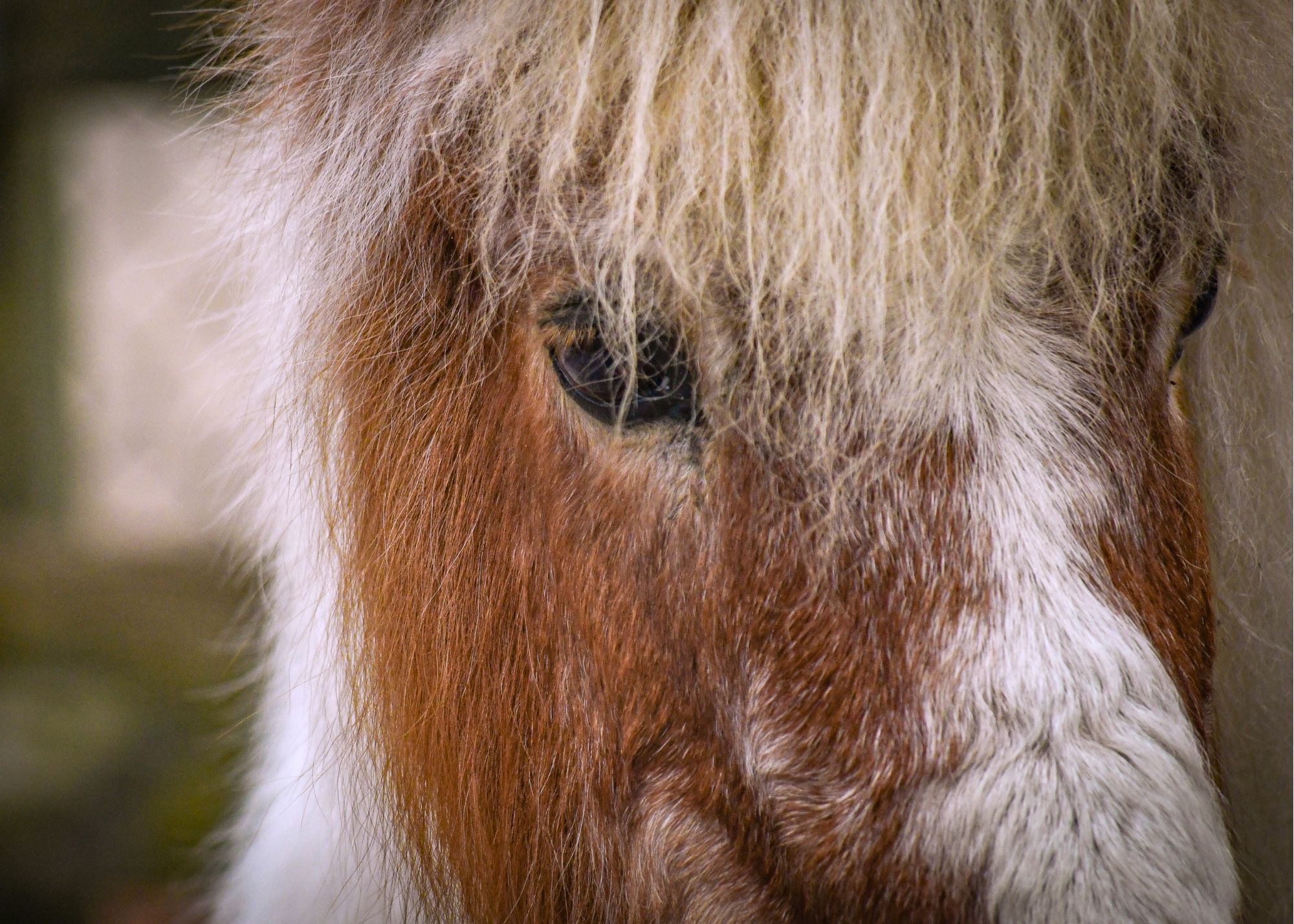 close up