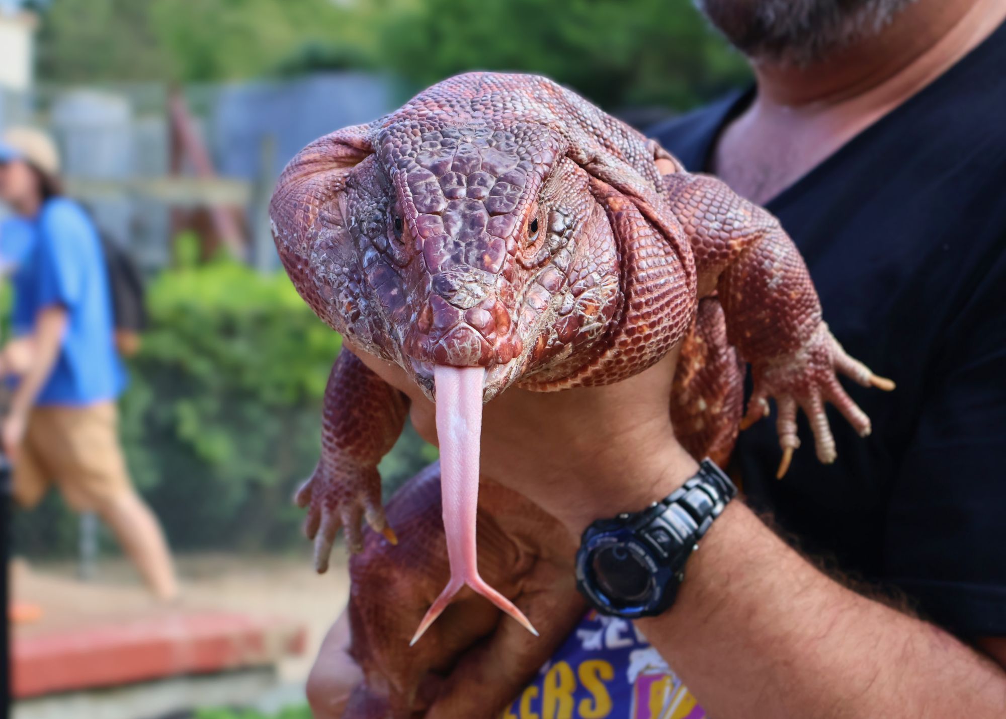 Clifford Tongue