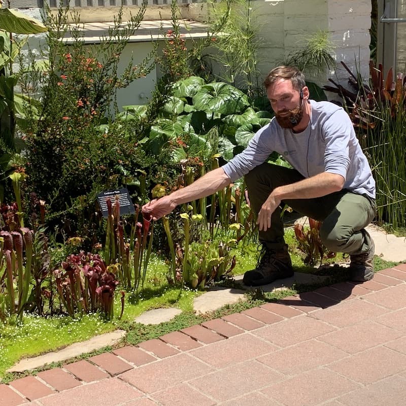 Guided Tour of the new Bromeliad and Island Ecology Gardens  | Sherman Library and Gardens