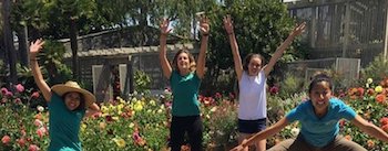 Become a Docent