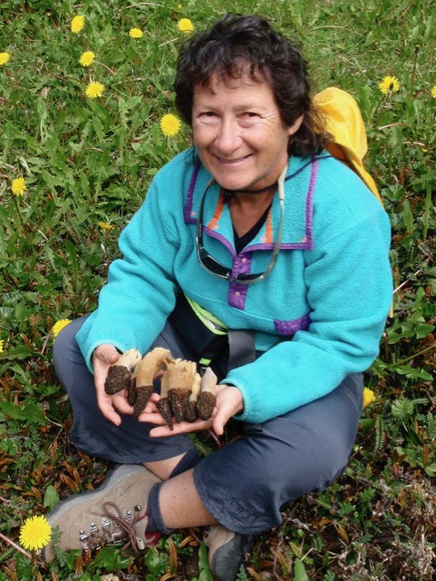 Getting Friendly with Fungi