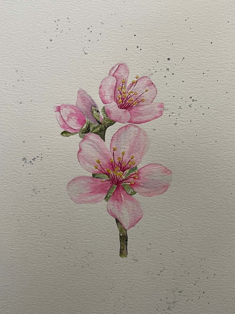 Watercolor Class: Spring Bloom   | Sherman Library and Gardens