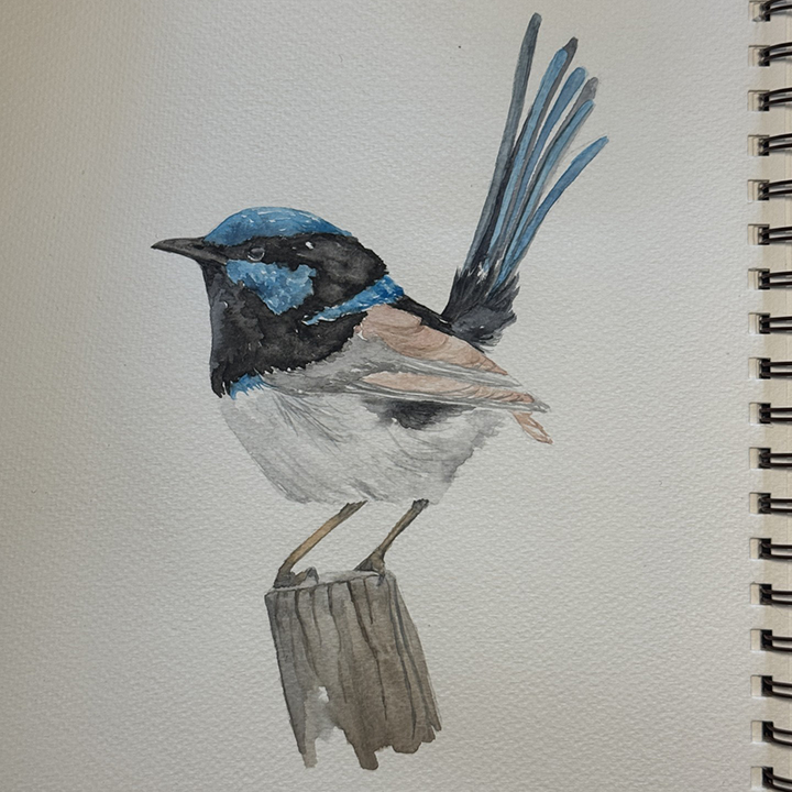 Watercolor Class: Wren