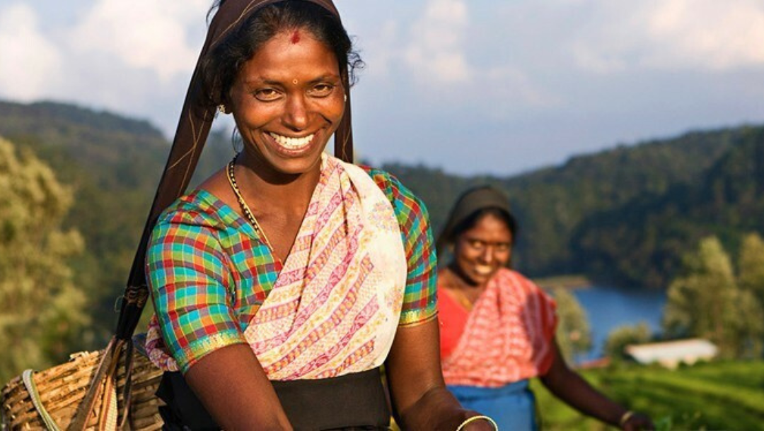 Image description here.