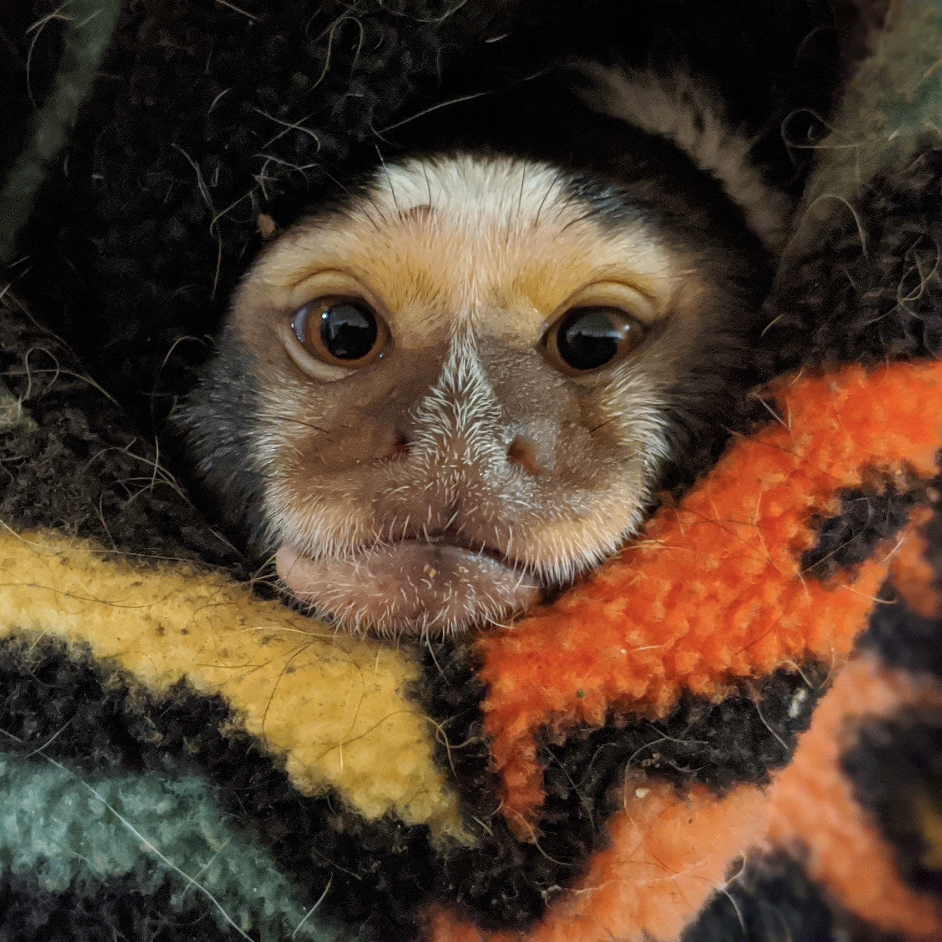 Image description here.