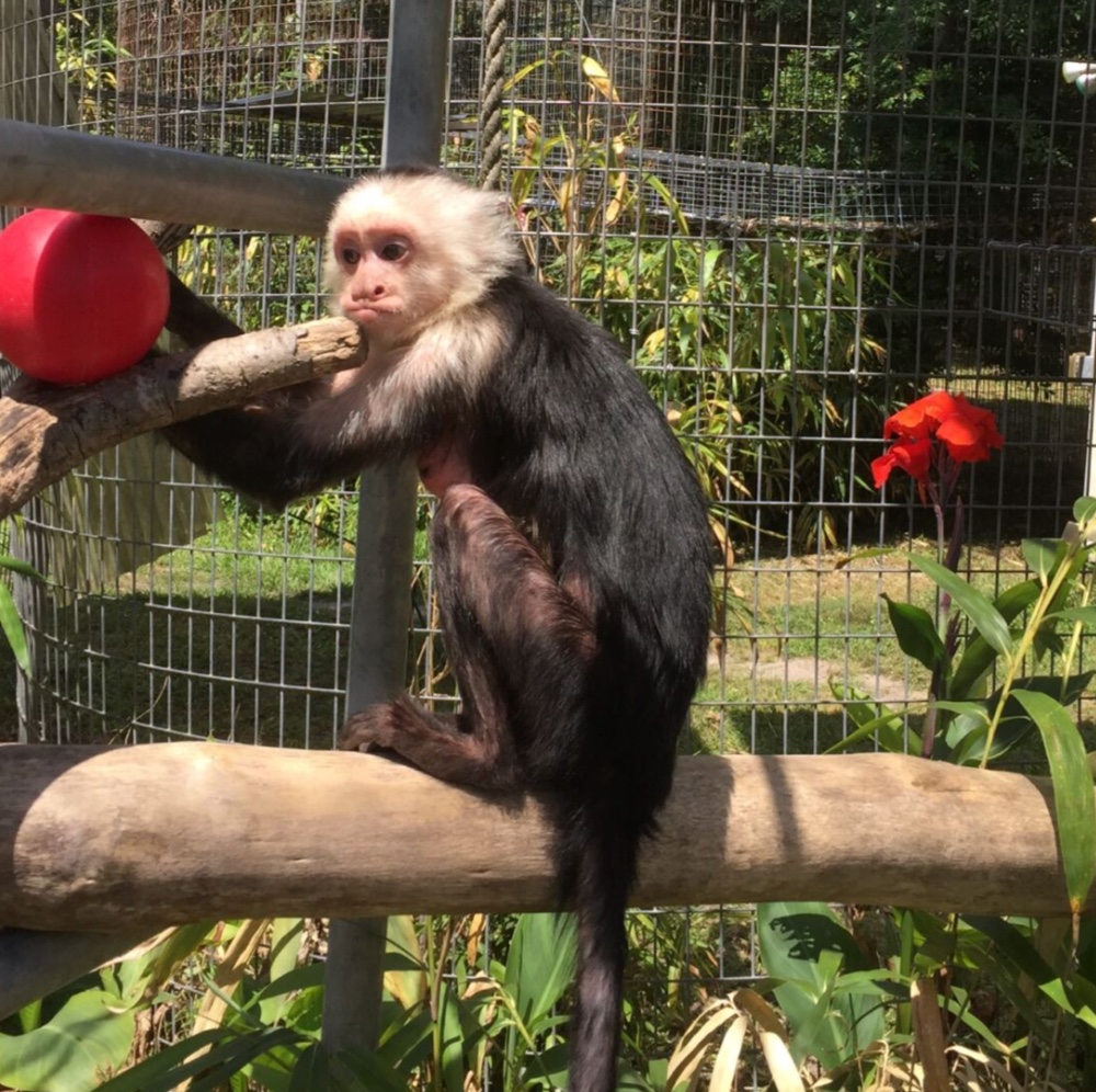 Image description here.