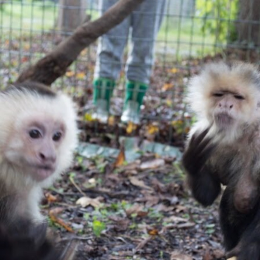 Image description here.