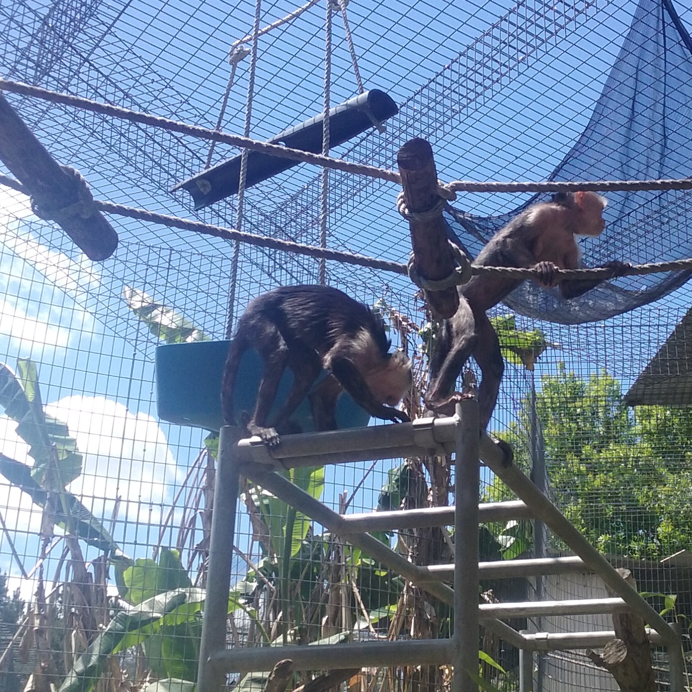 Image description here.