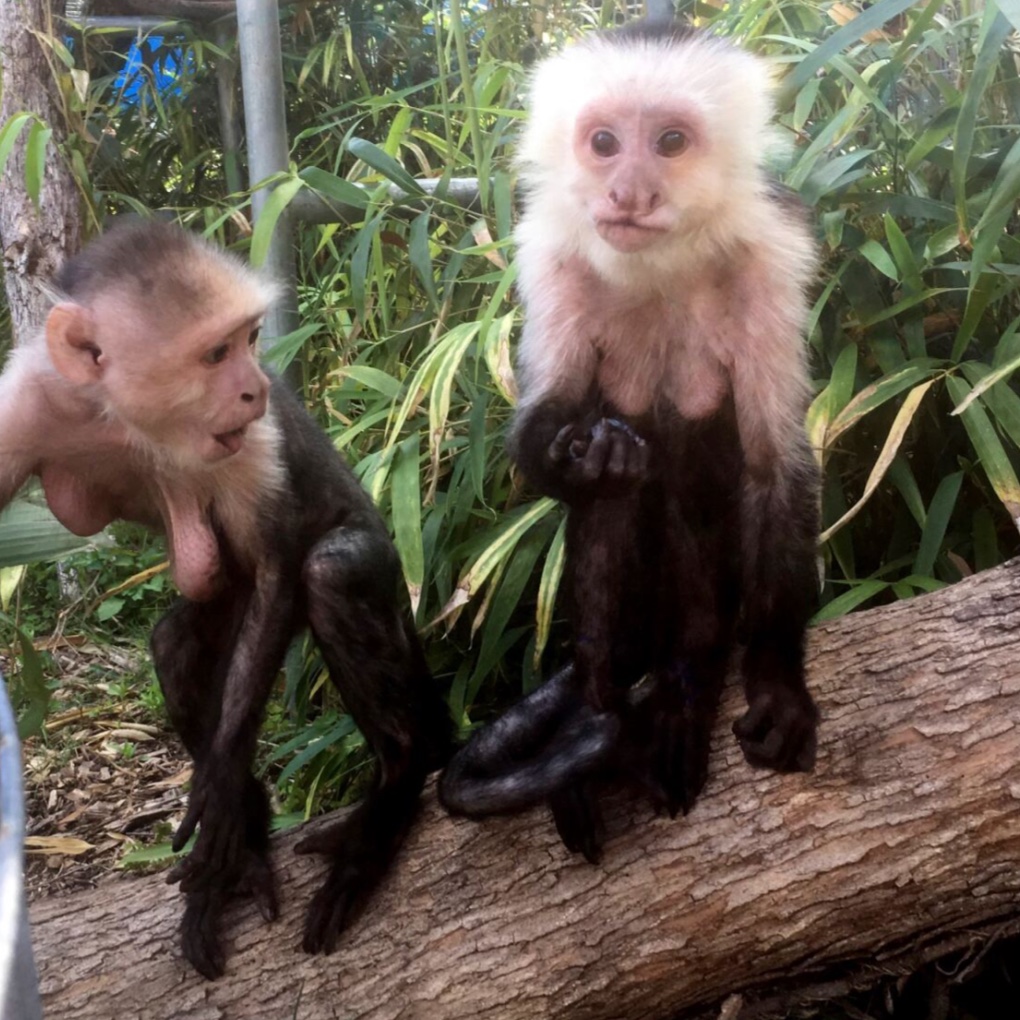 Image description here.