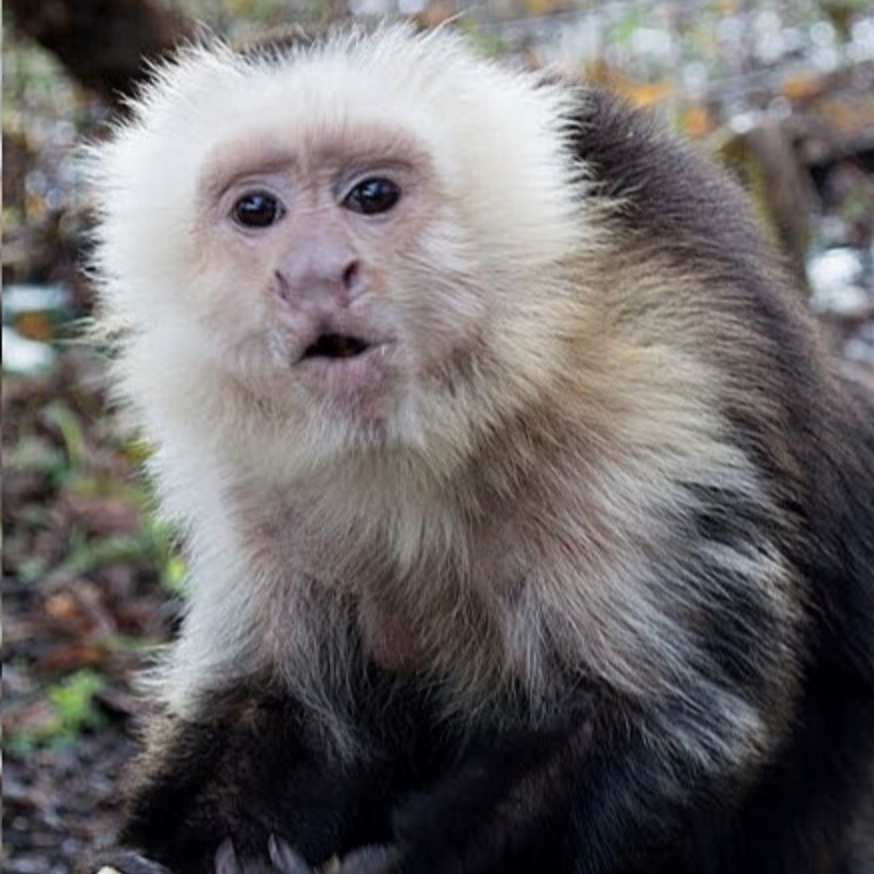 Image description here.