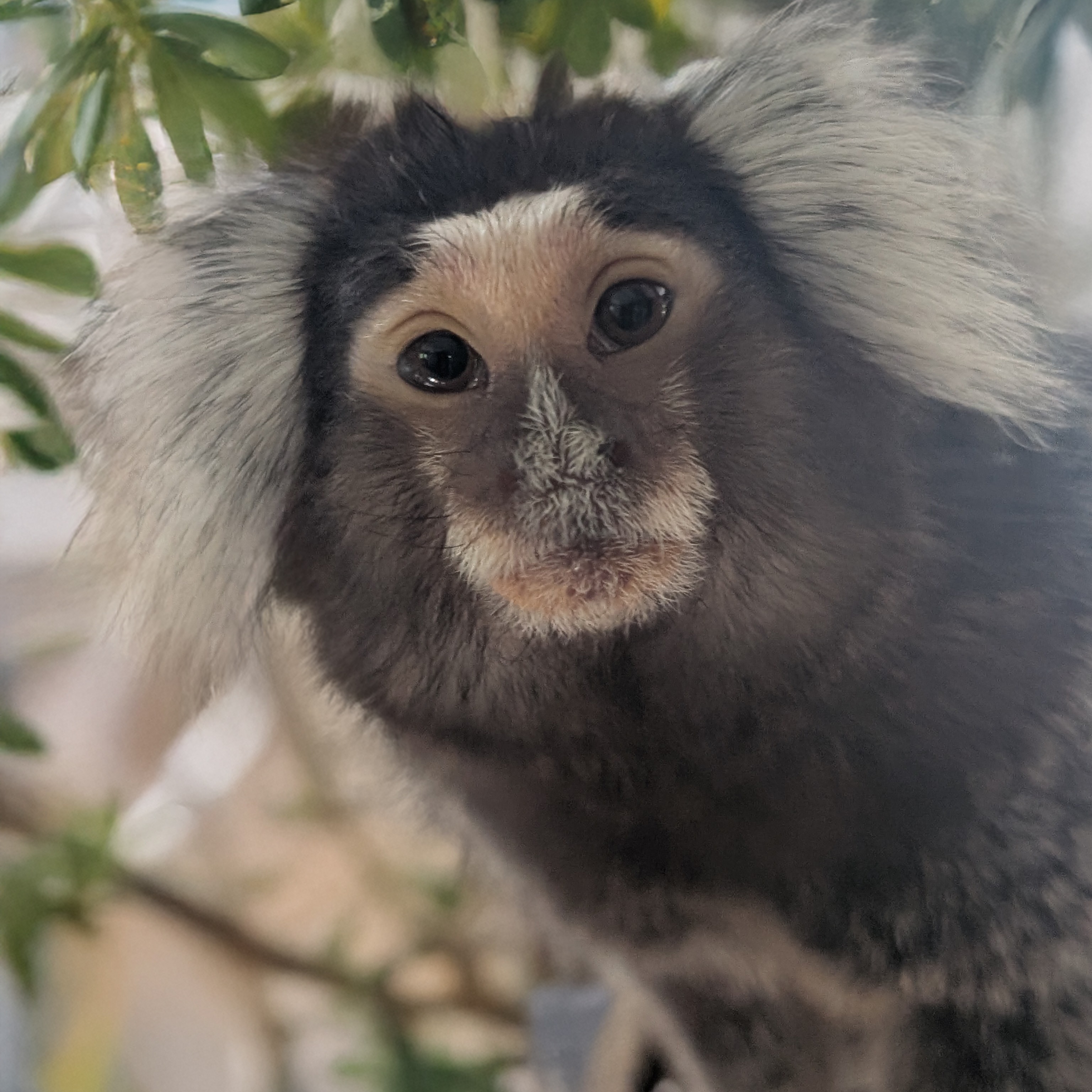 Image description here.