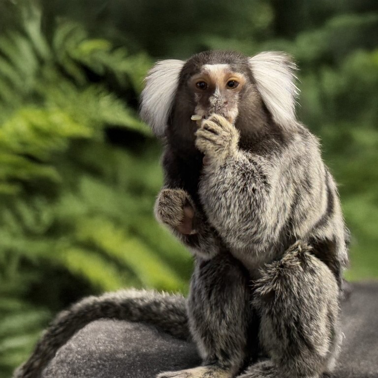 Image description here.