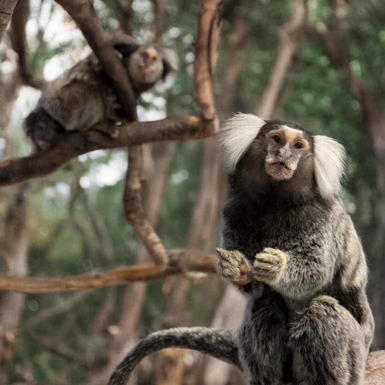 Image description here.