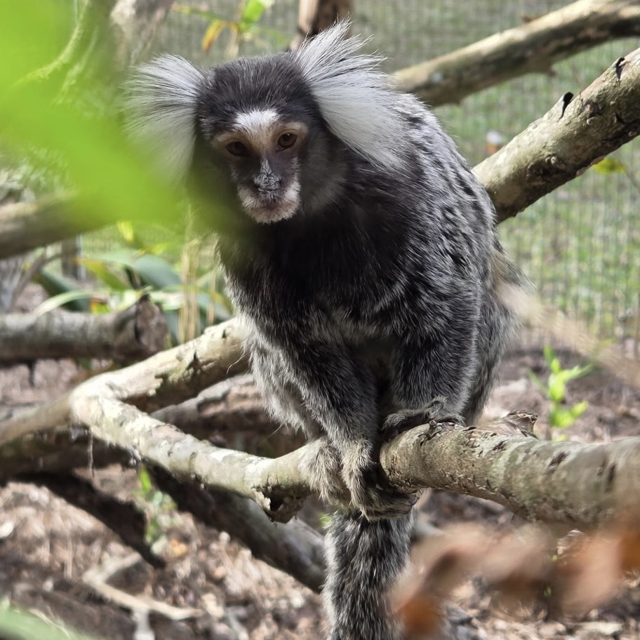 Image description here.