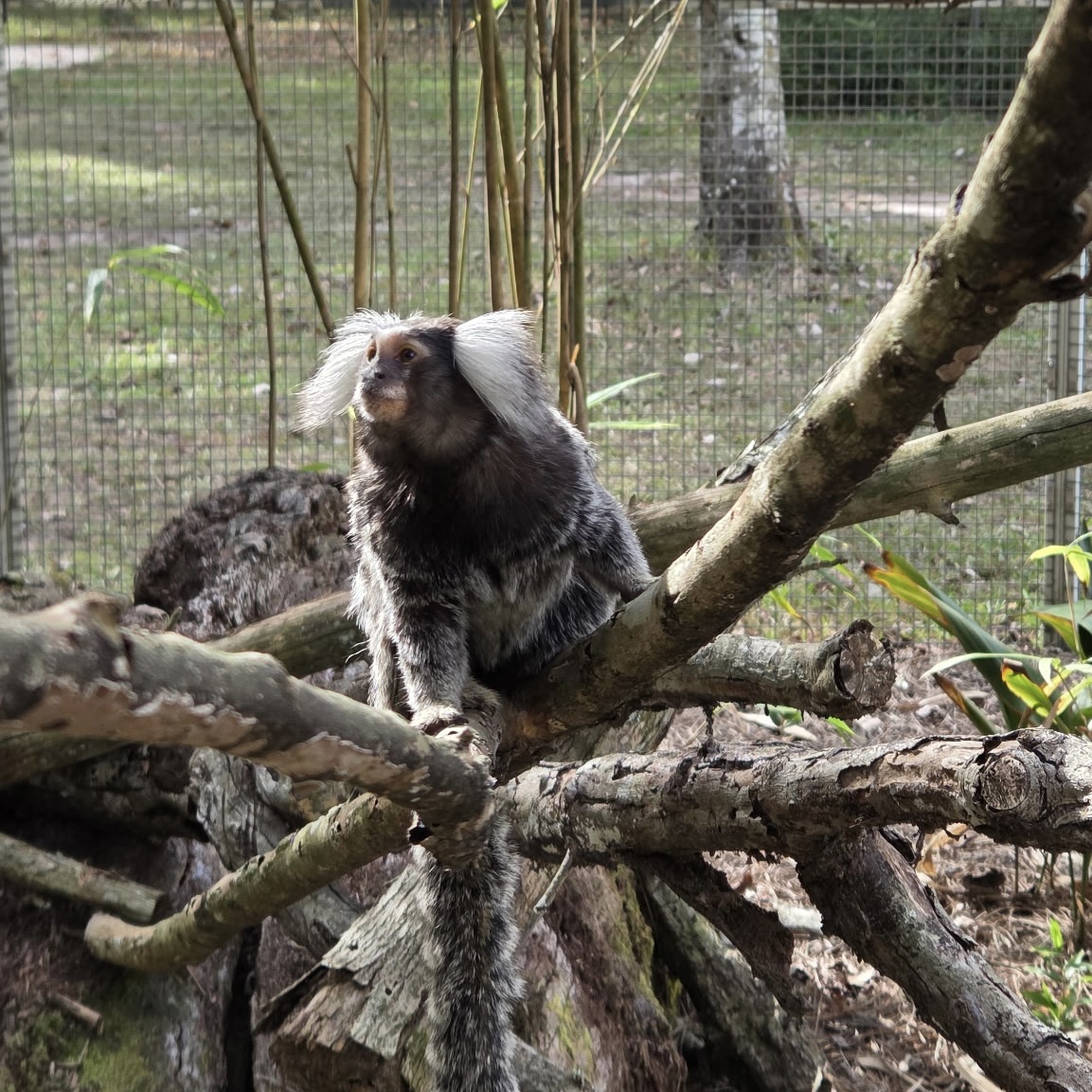 Image description here.