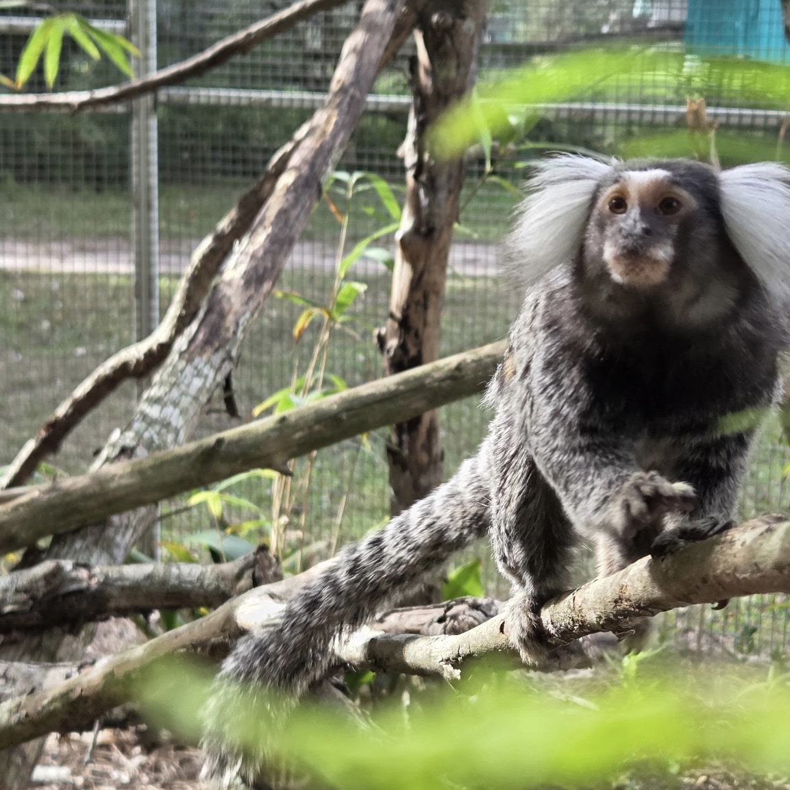 Image description here.