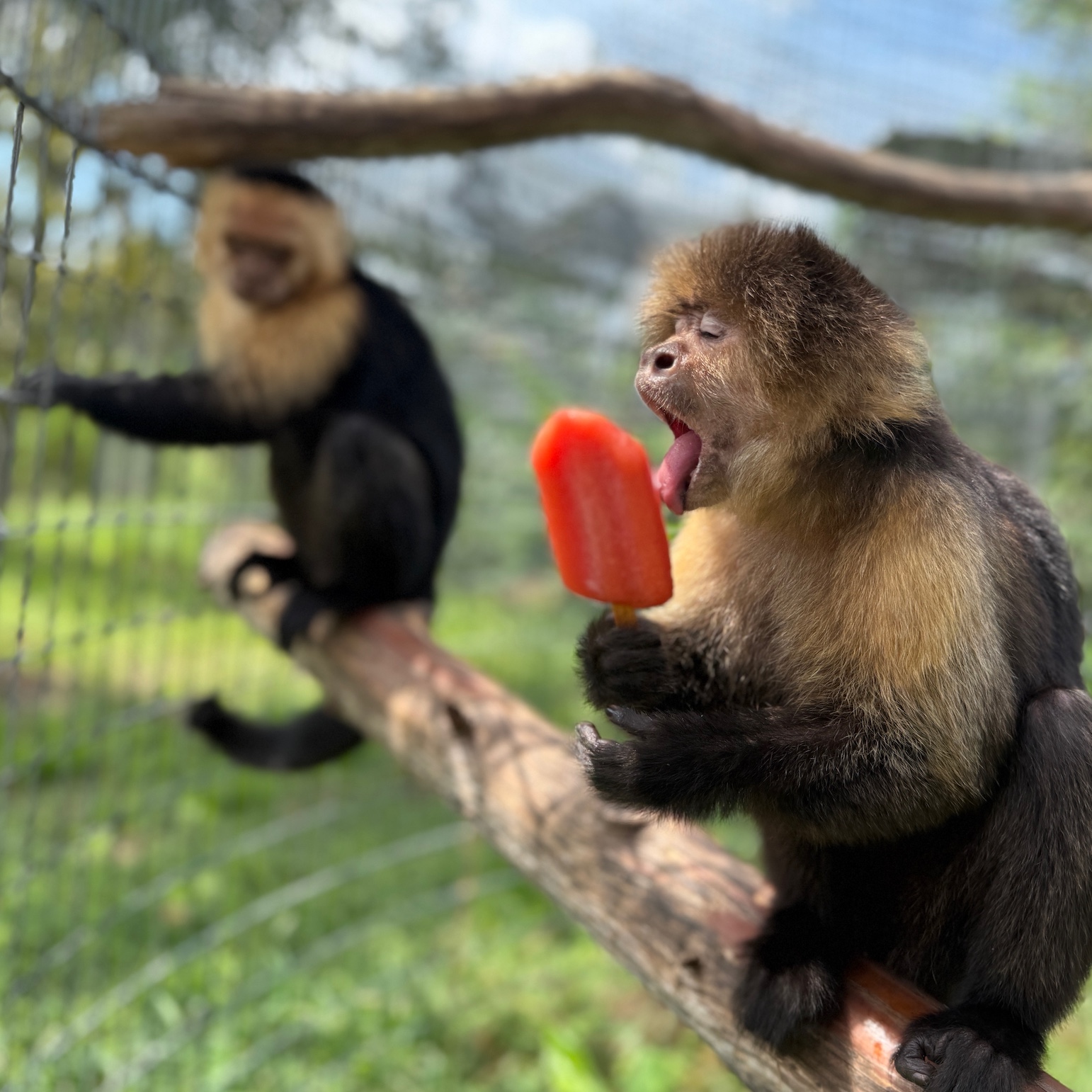 Image description here.