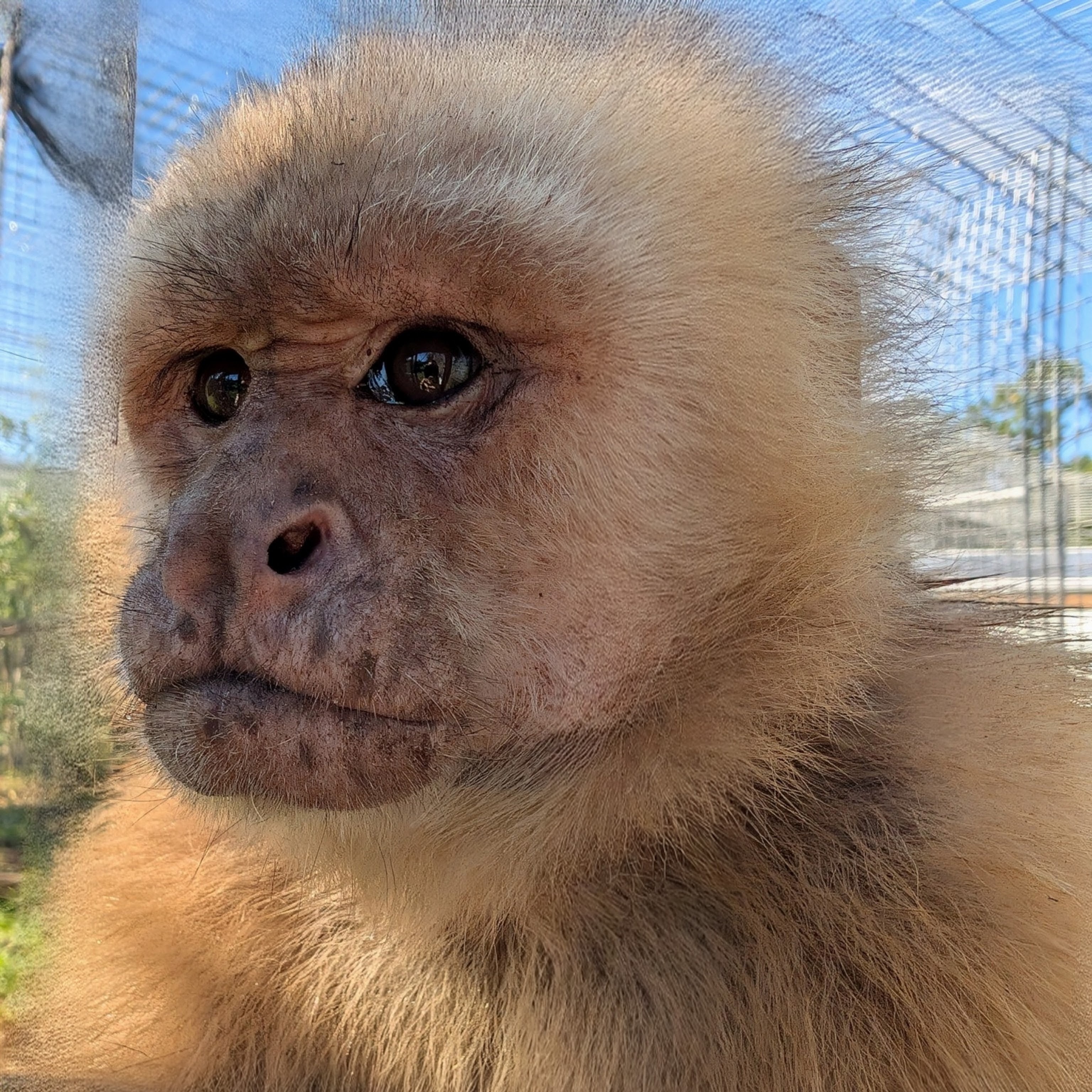 Image description here.