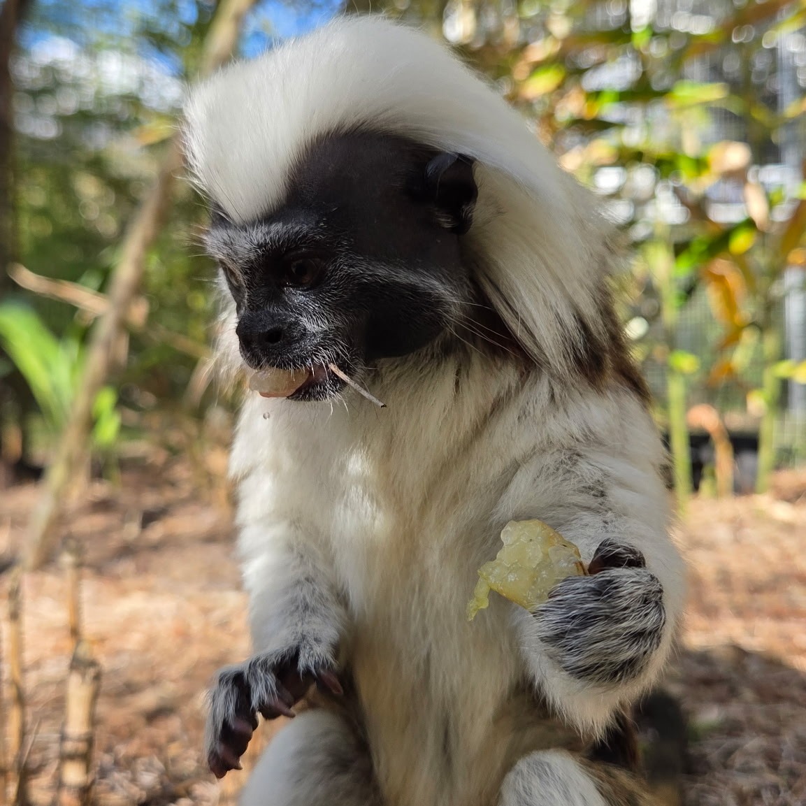 Image description here.