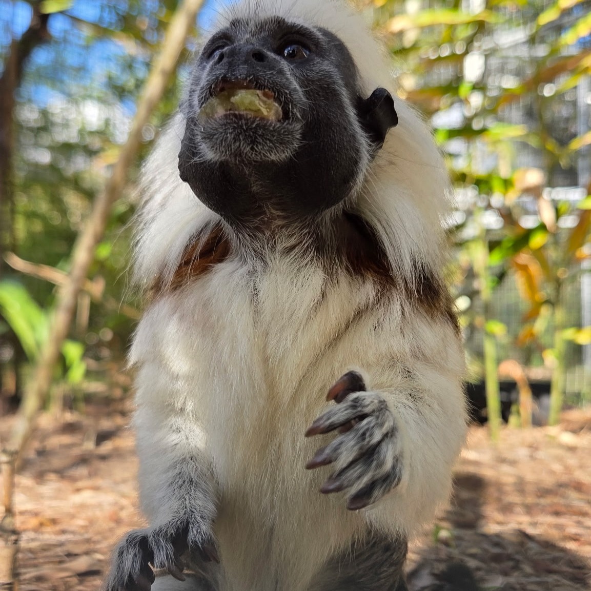 Image description here.