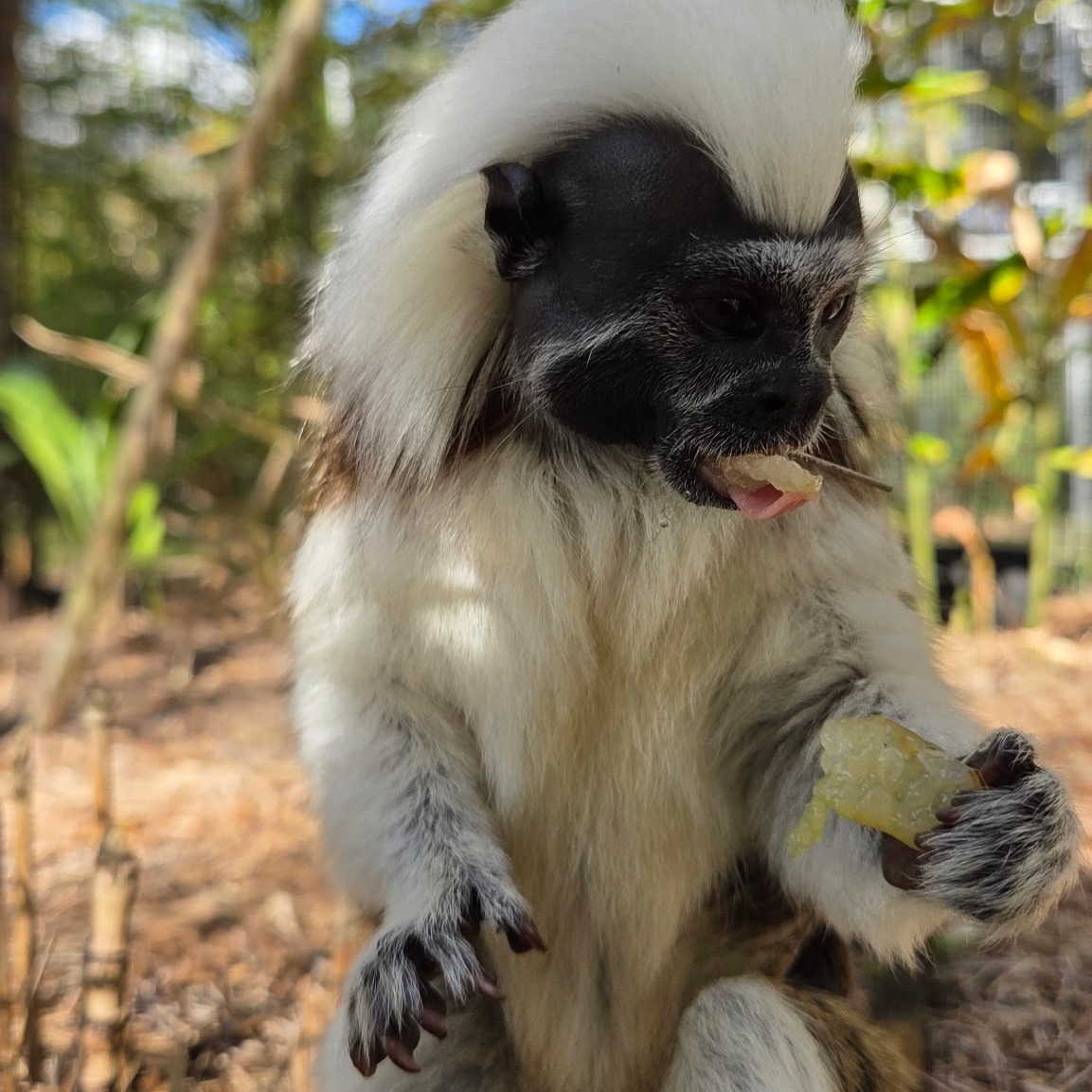 Image description here.