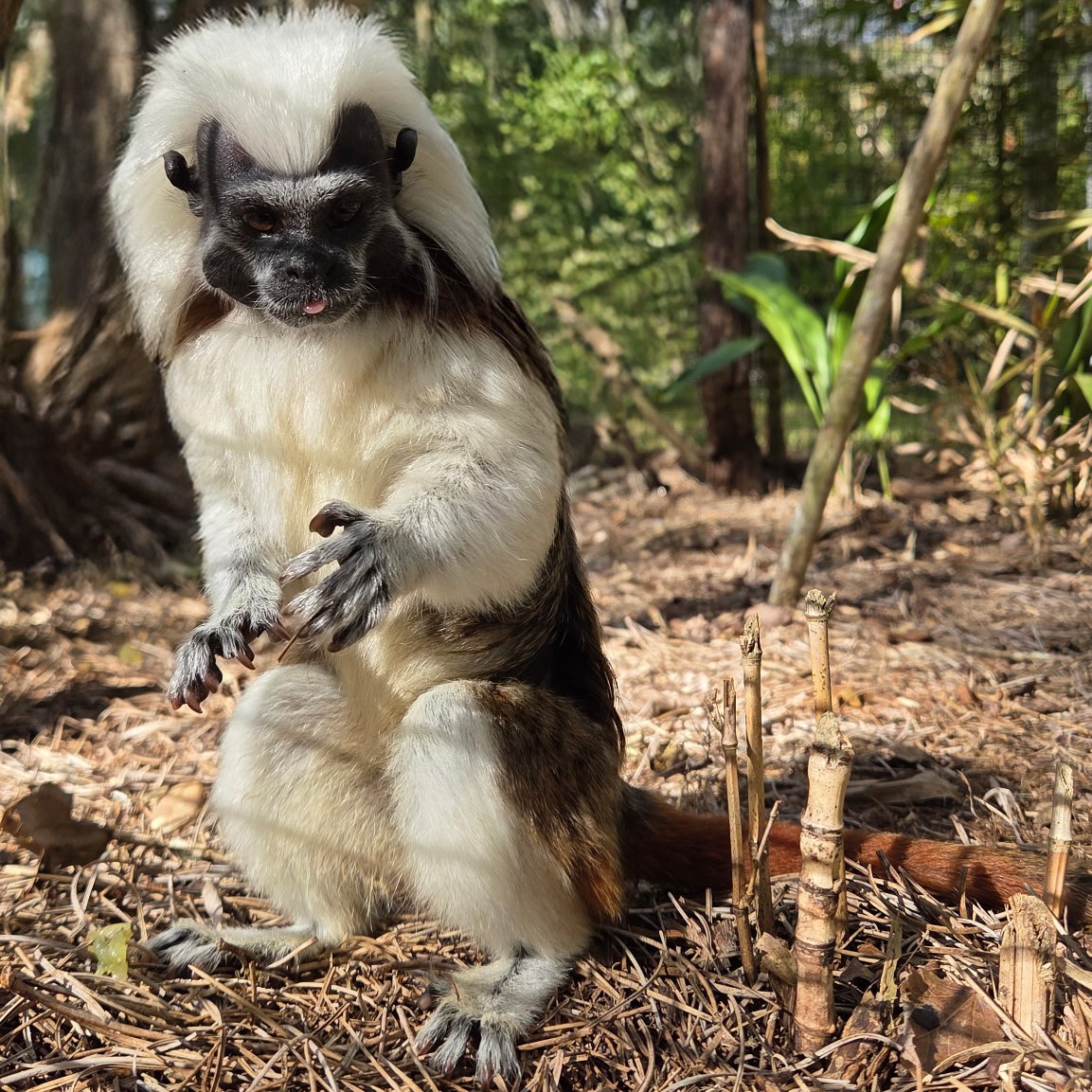 Image description here.