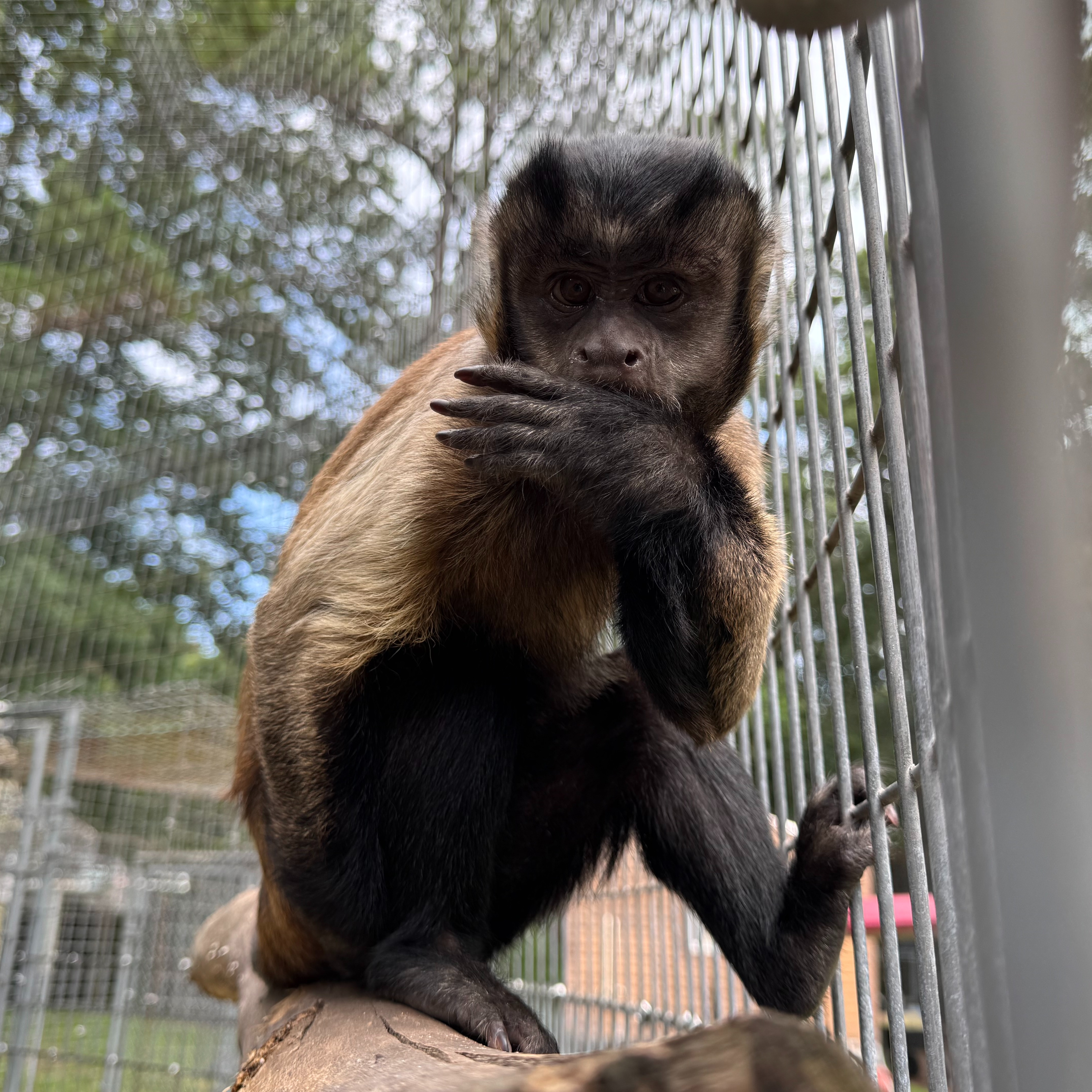 Image description here.