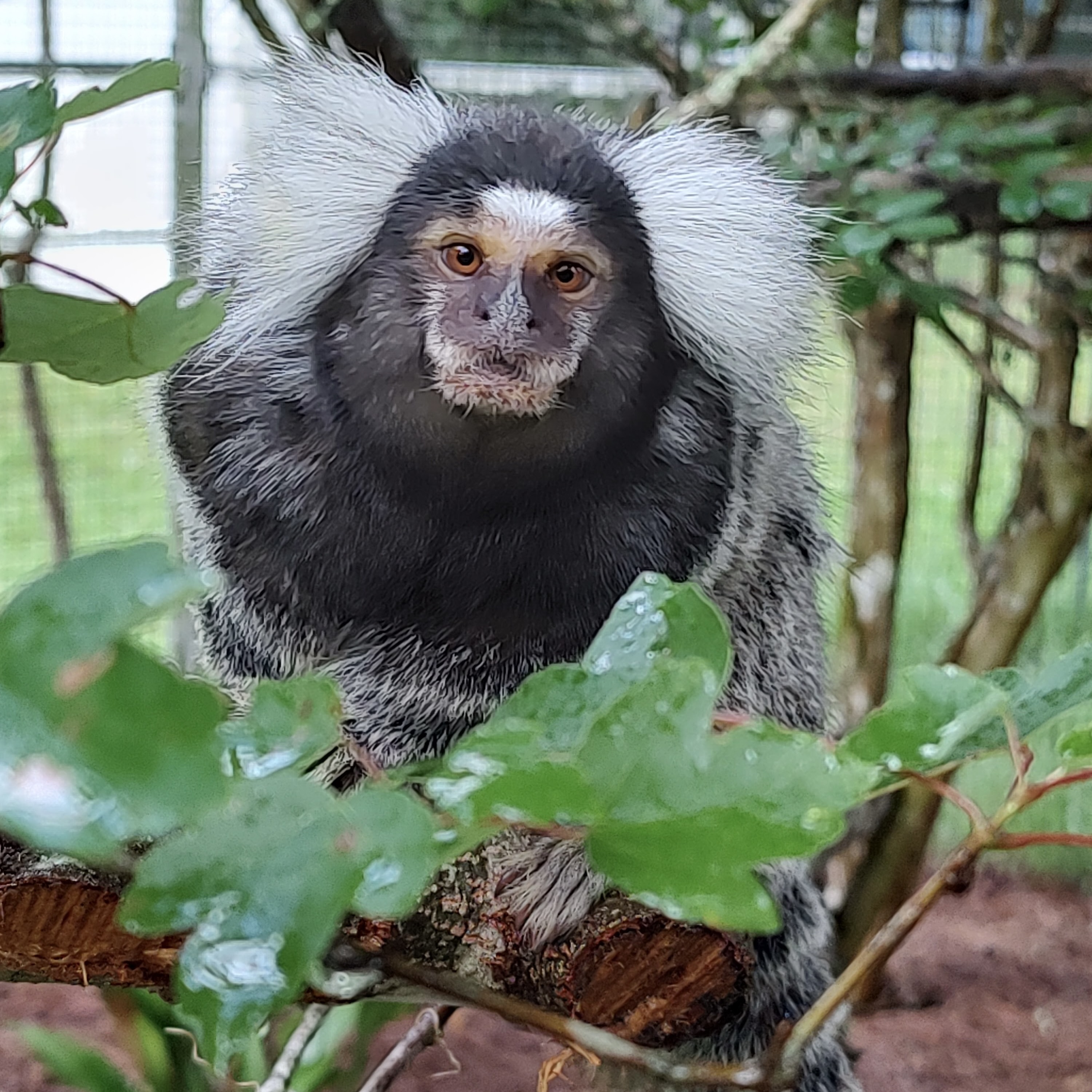 Image description here.