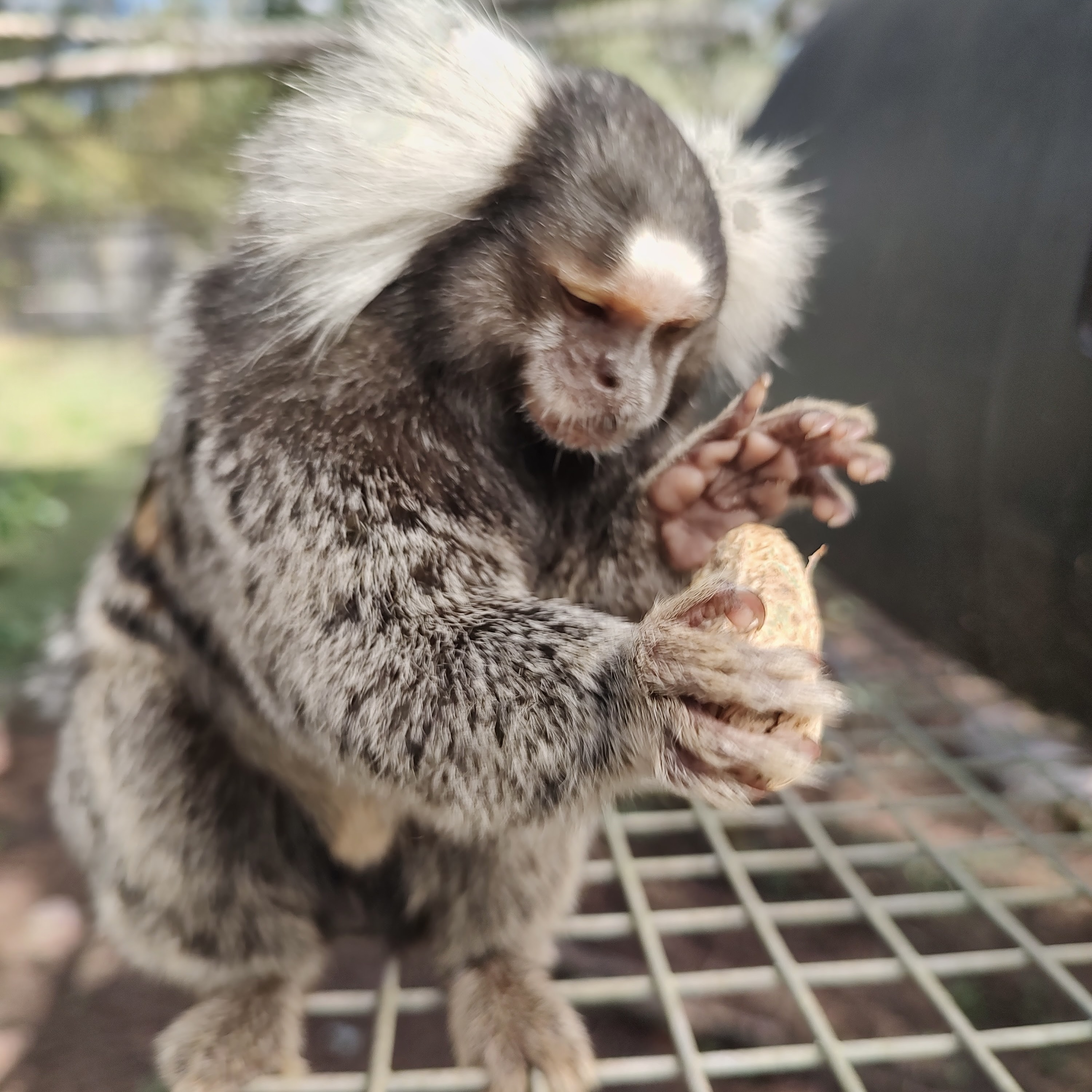 Image description here.