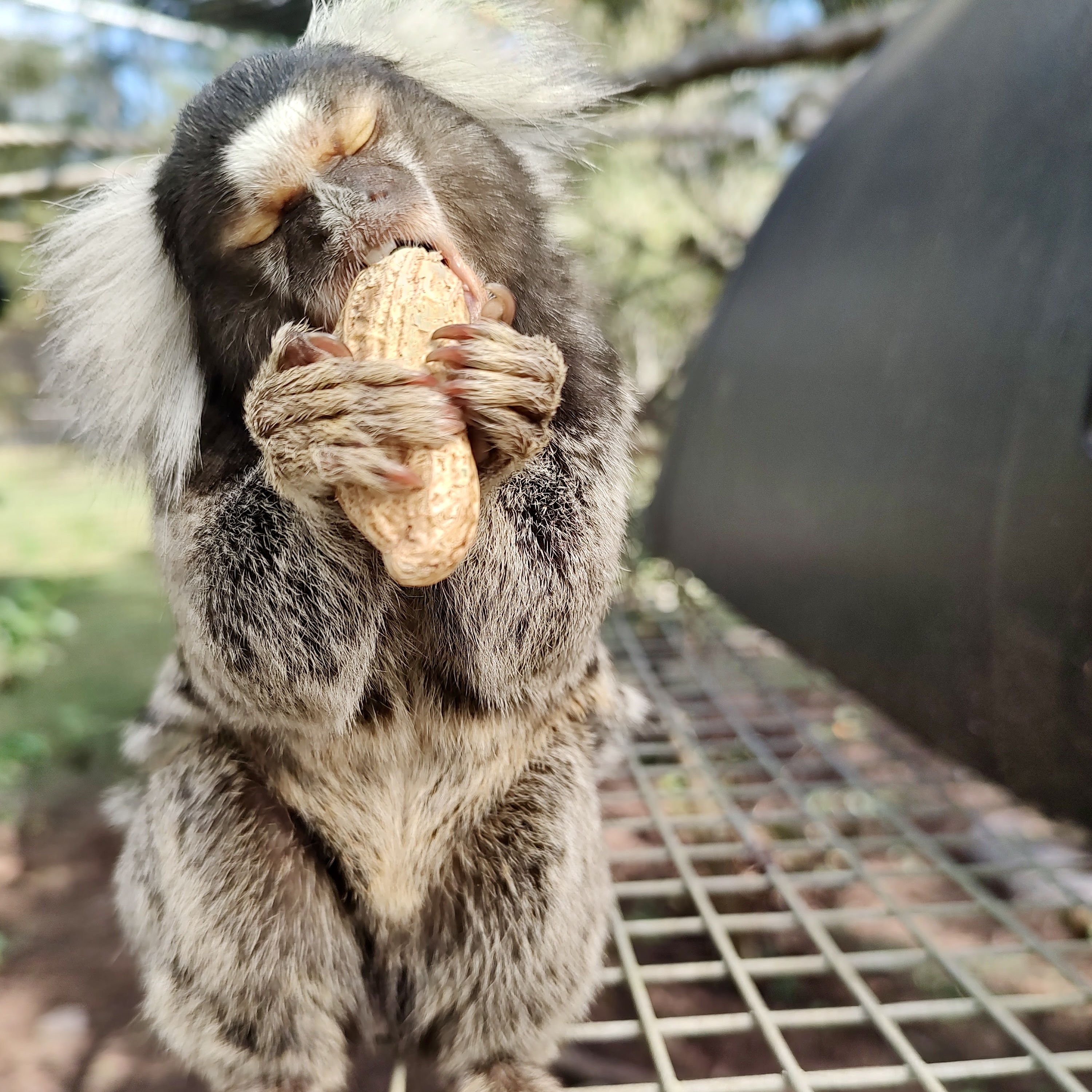 Image description here.