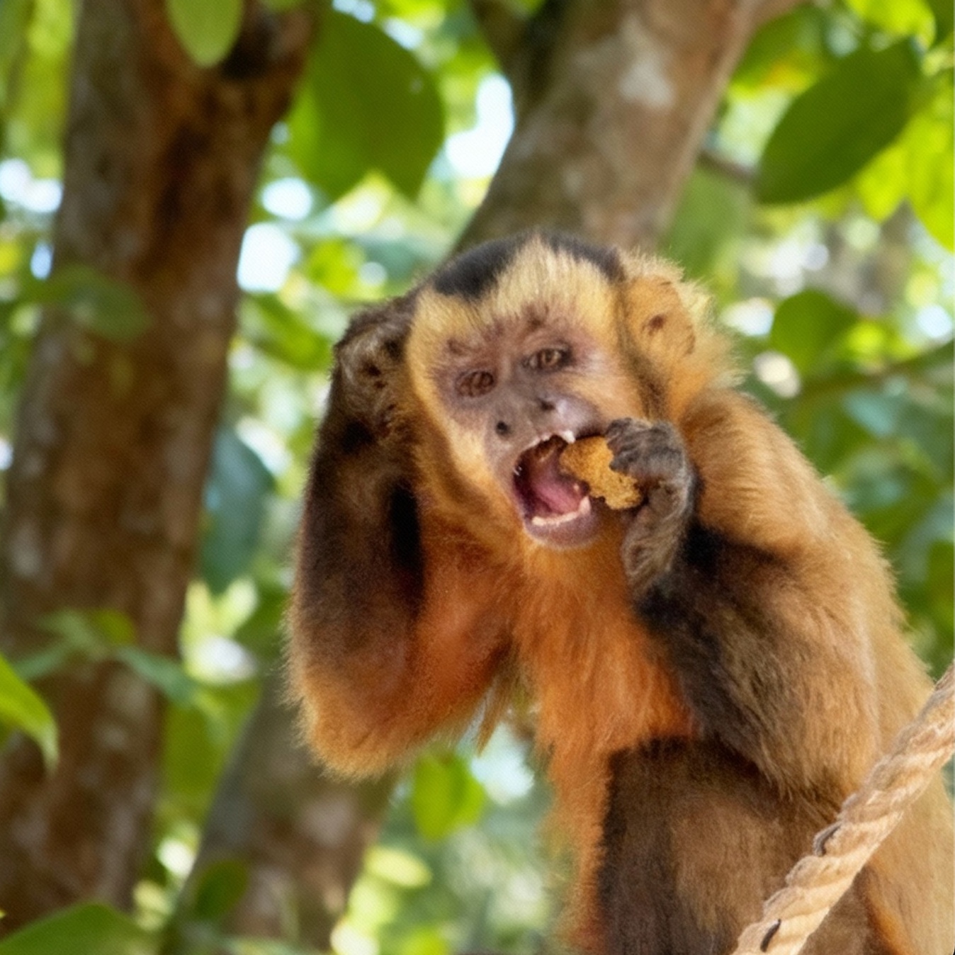 Image description here.