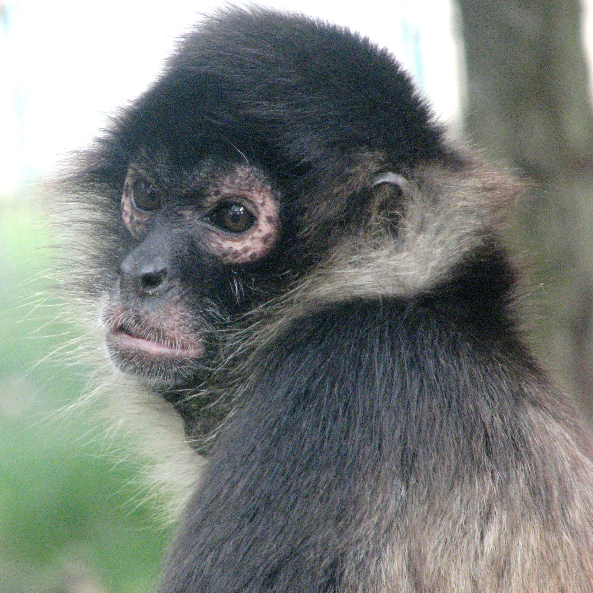 Image description here.