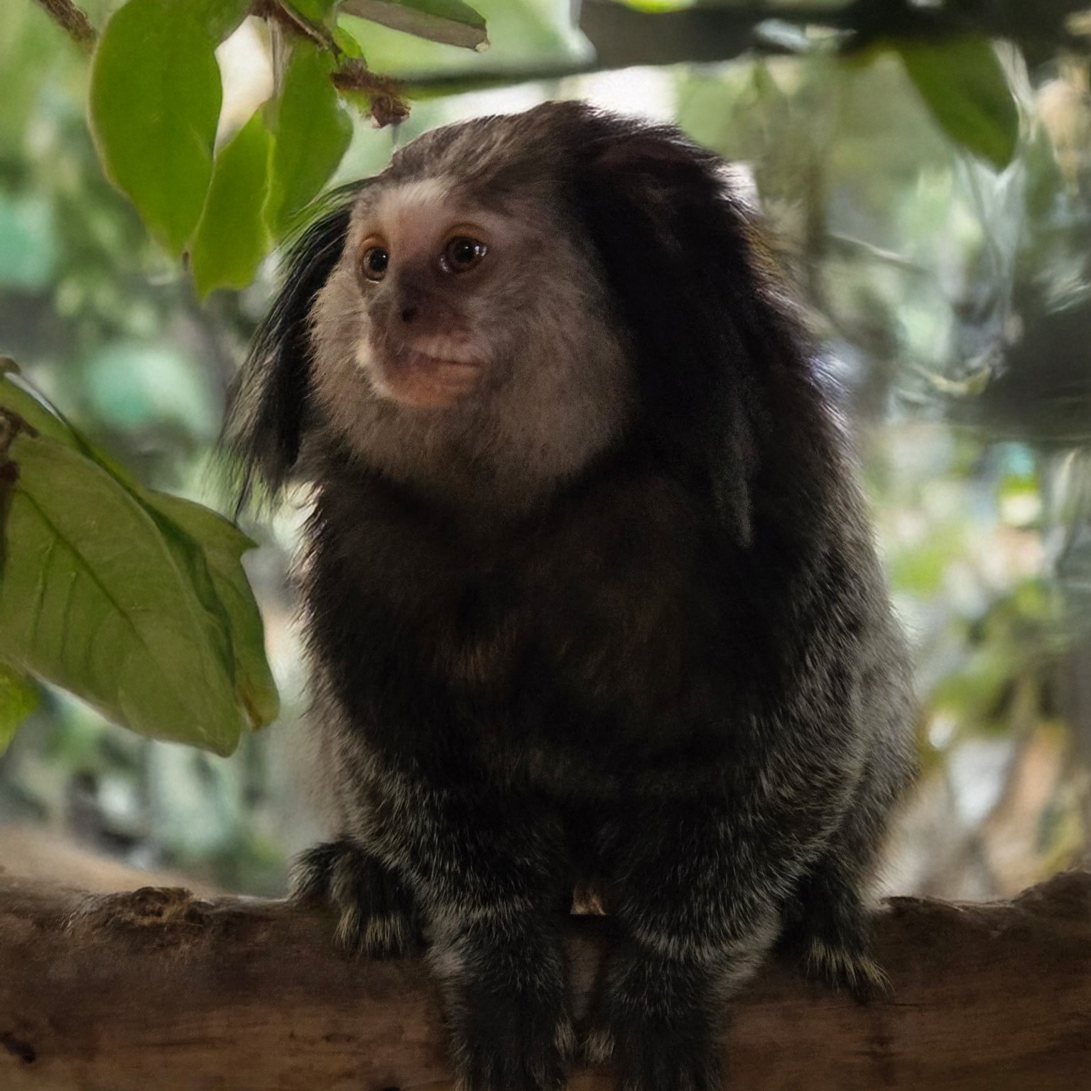 Image description here.