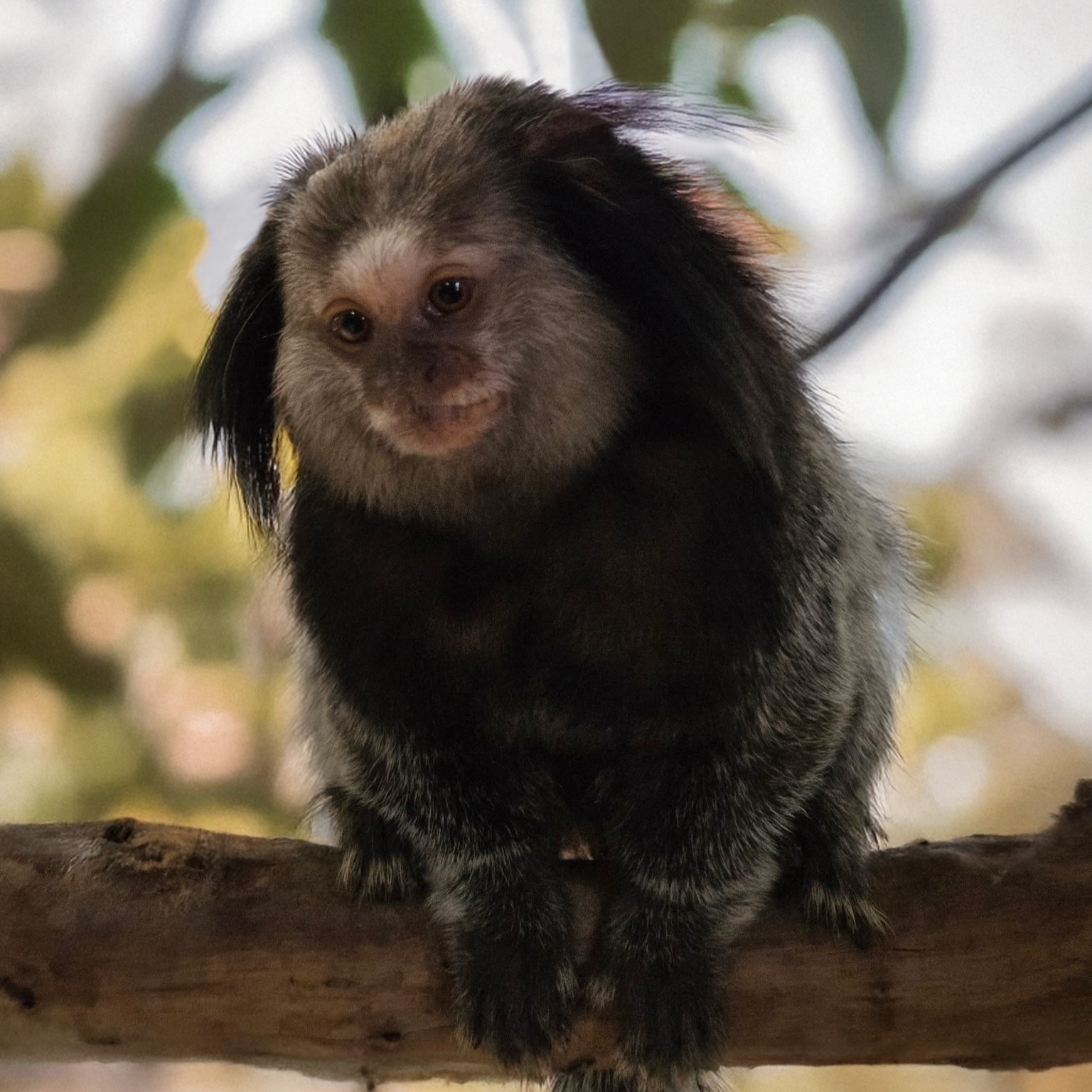 Image description here.