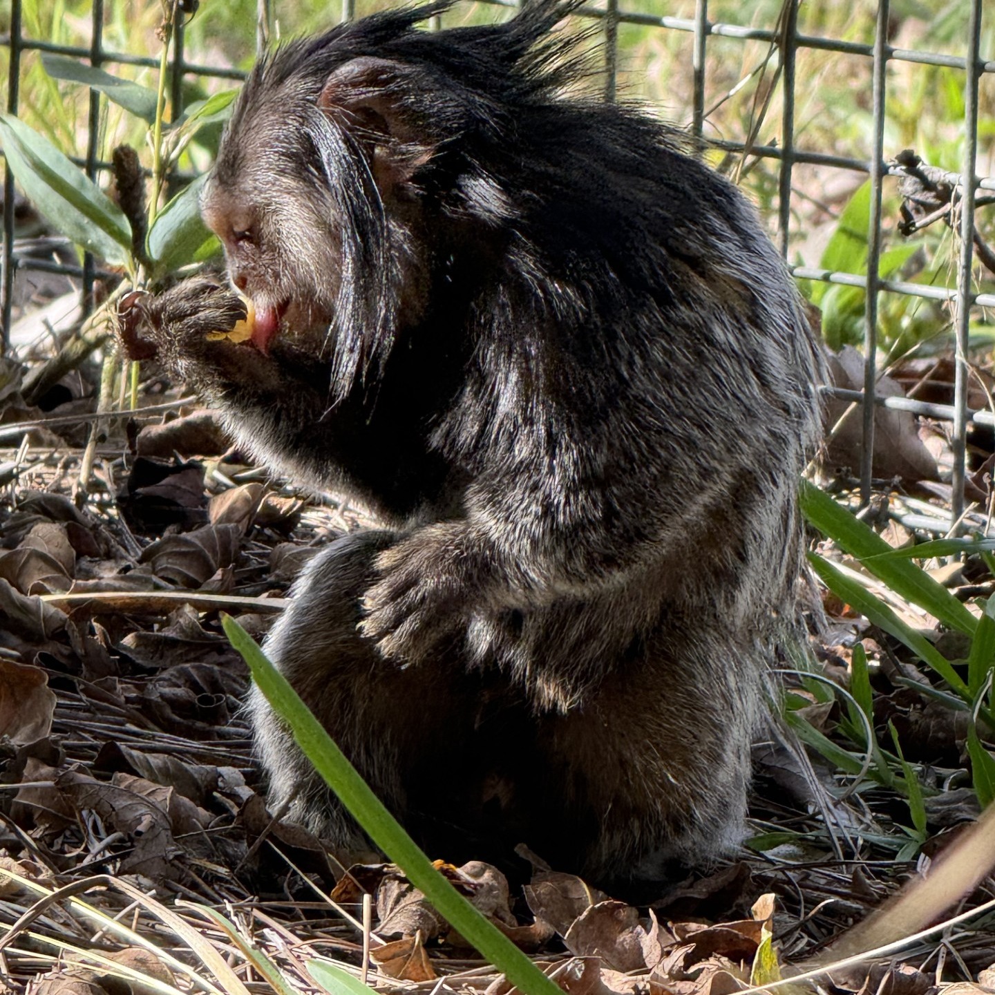 Image description here.