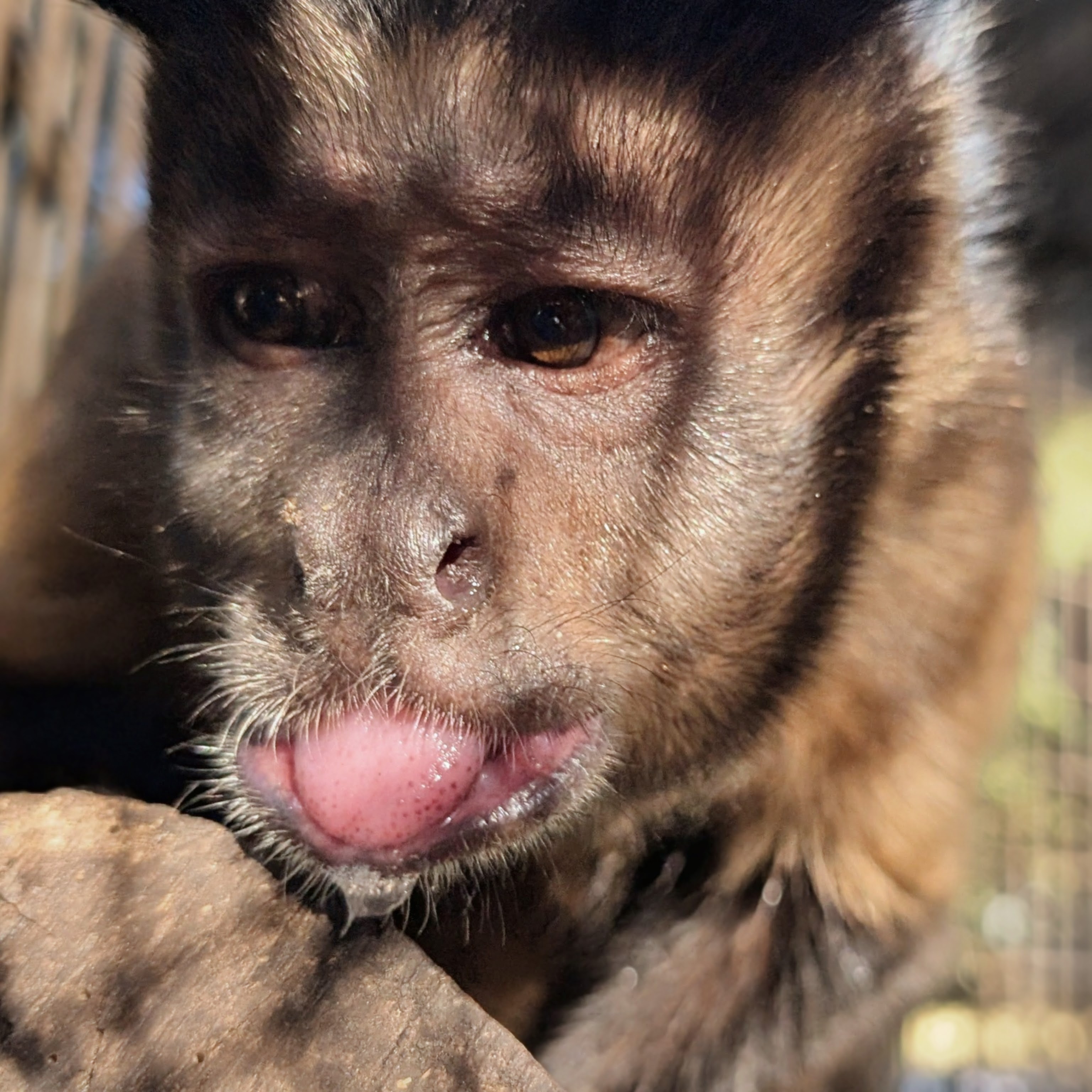 Image description here.