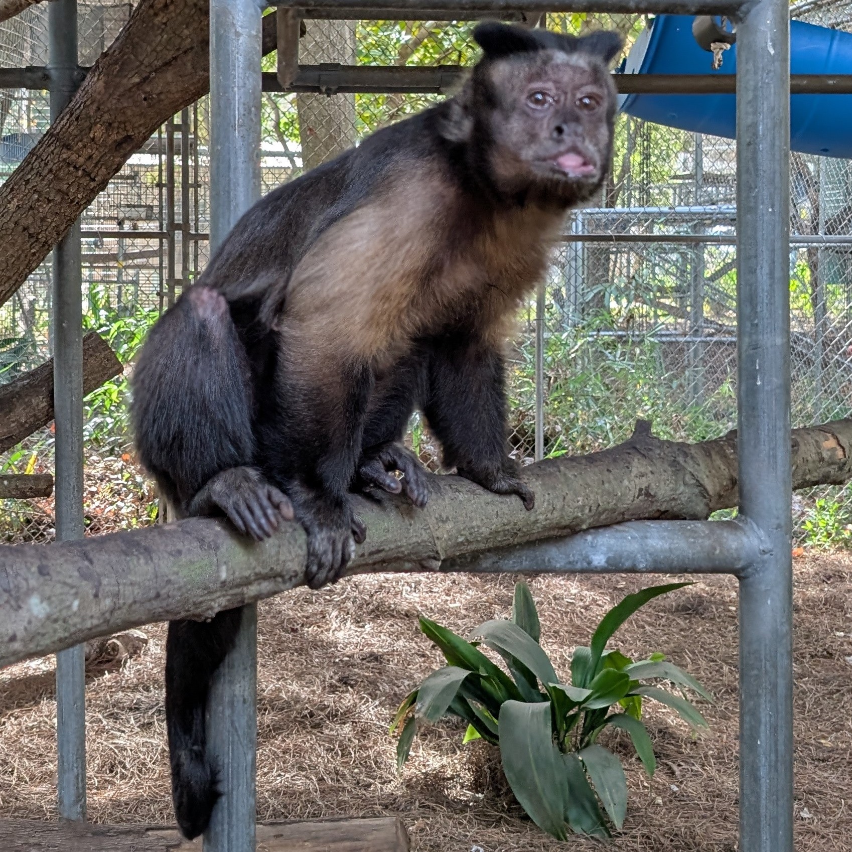 Image description here.