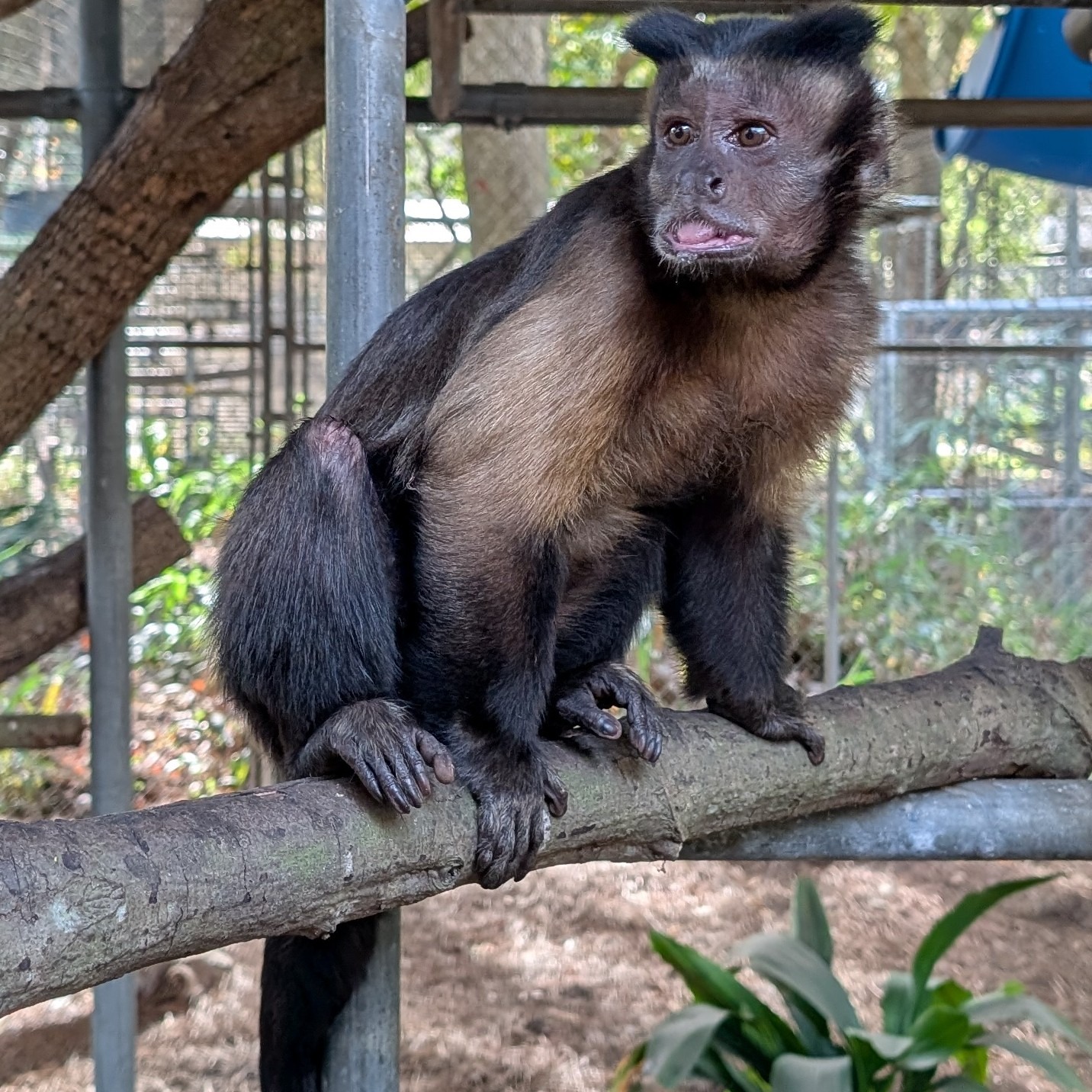 Image description here.