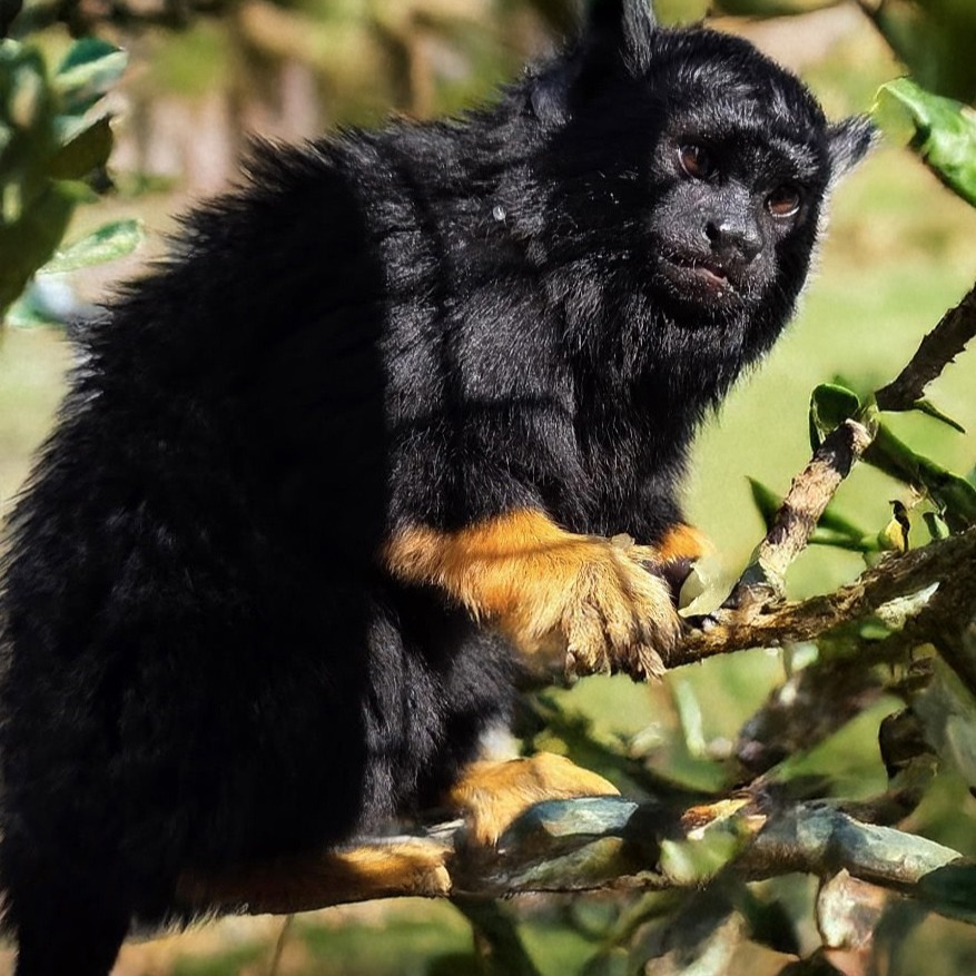 Image description here.