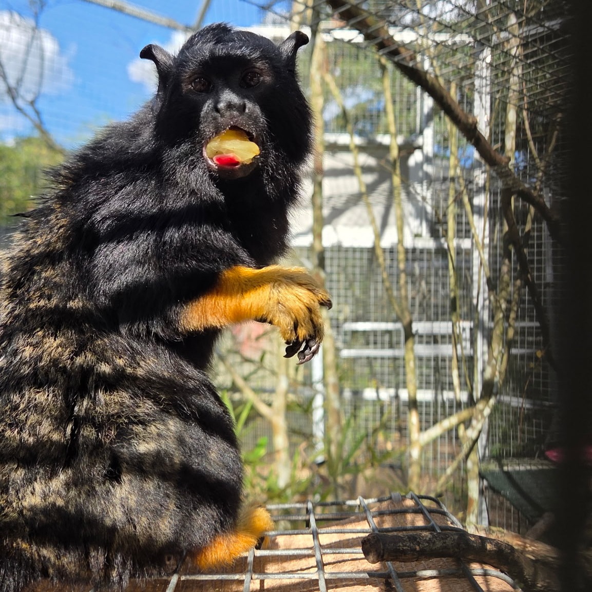 Image description here.