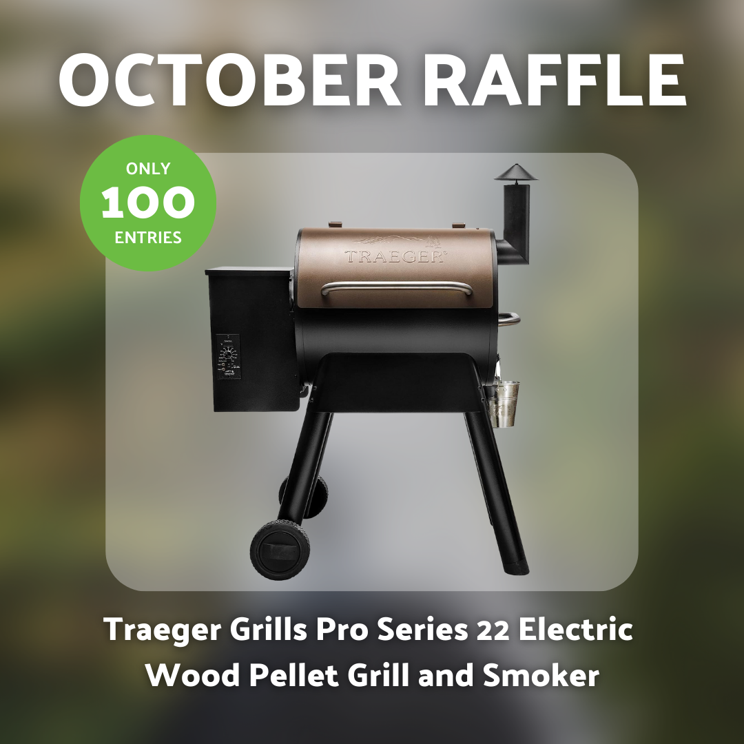 Traeger grill pro series 22 2025