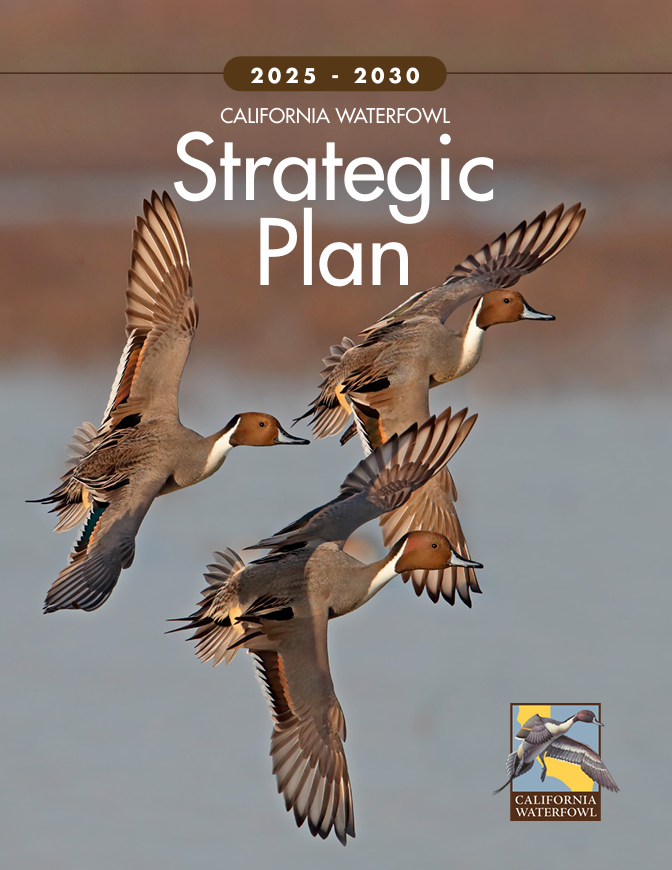 Cover — California Waterfowl Strategic Plan 2025‑2030