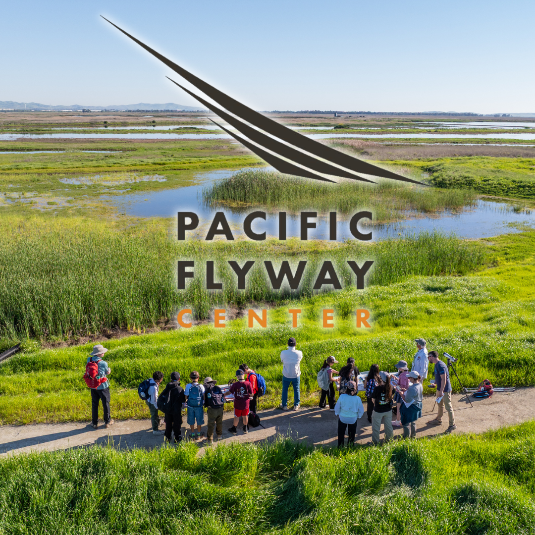 California Waterfowl New Fund