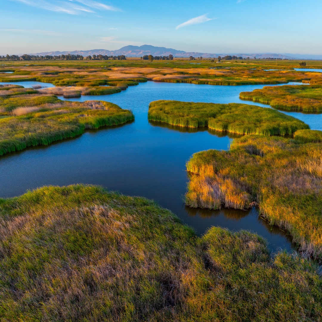 California Waterfowl Wetland Fund